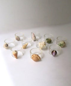 Seashell and Lucite Napkin Ring Holders, Set of 10