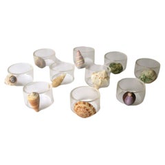 Servilleteros de Concha Marina y Lucite, Set de 10