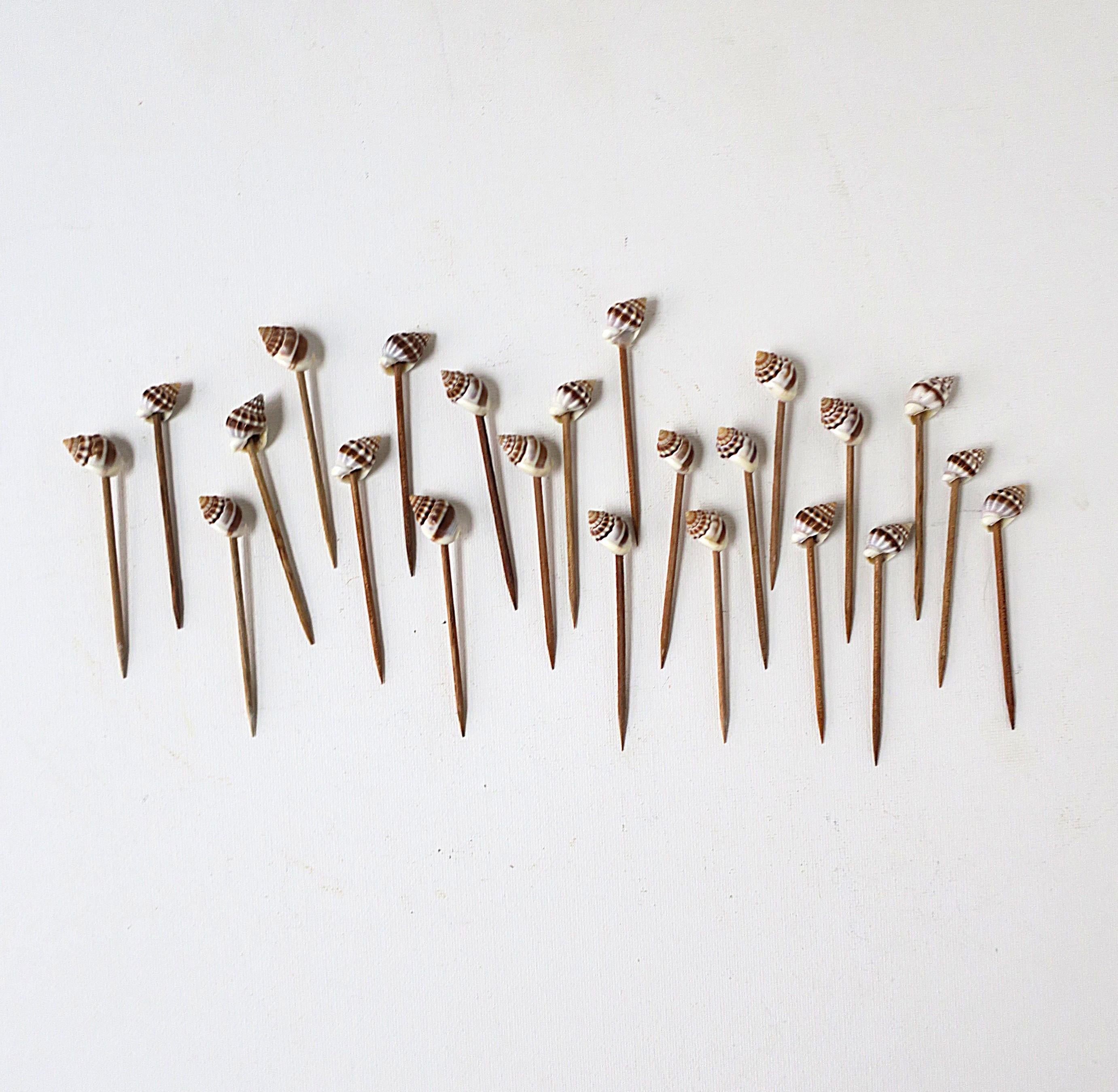 Un bonito juego de 23 picos de concha marina natural para aperitivos o bares. 