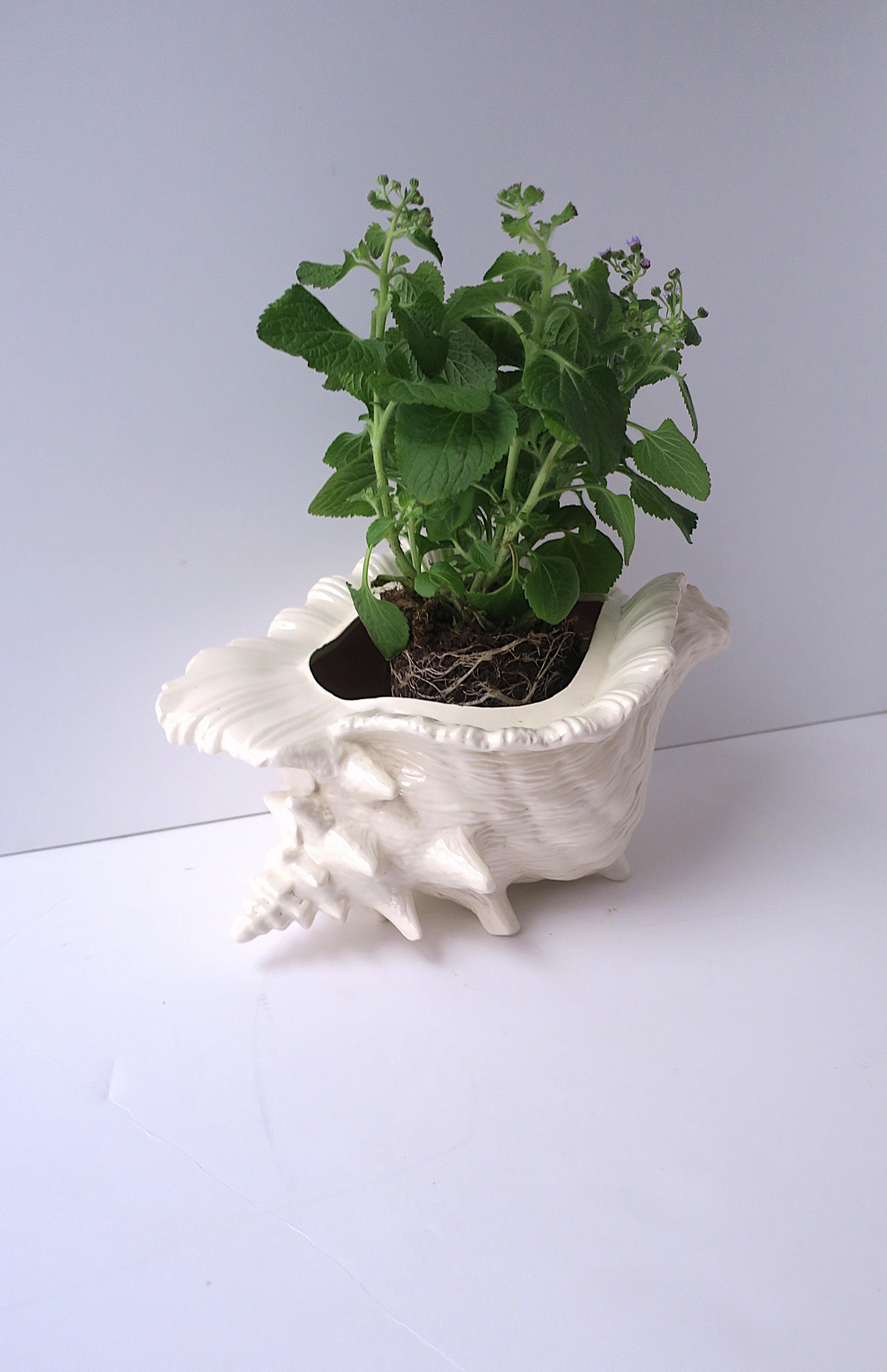 Seashell Cachepot Planter Jardinière 1