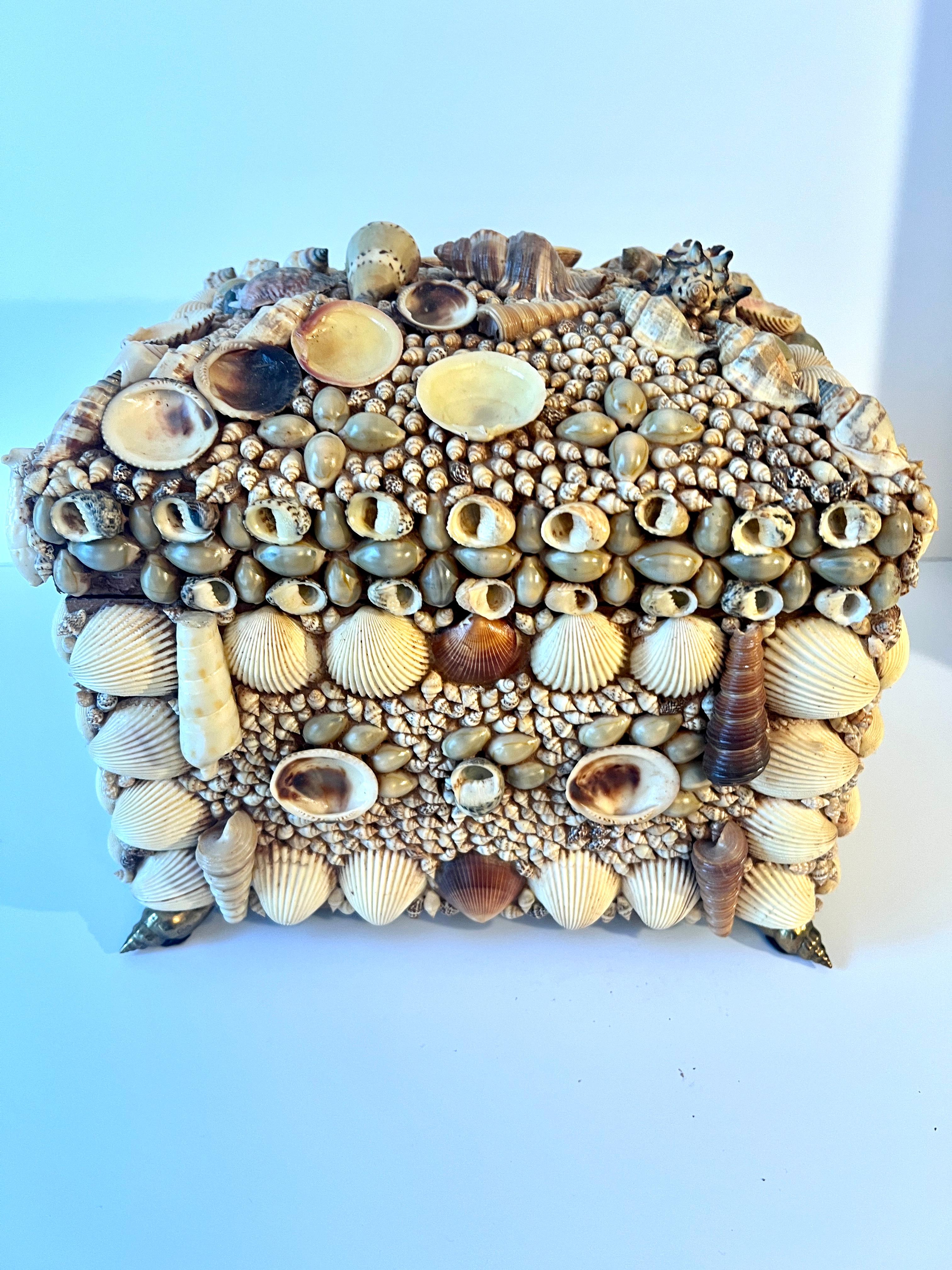 A large and well made wooden box of various encrusted seashells.

The lid raises off to reveal a large and well made box for storage.  The base has brass shell shaped feet and on each side is a brass handle of a shell shape as well.

A compliment to