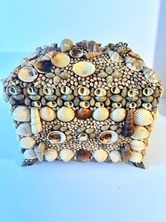 Scatola con coperchio incrostato di conchiglie con piedini e manici di conchiglie in ottone