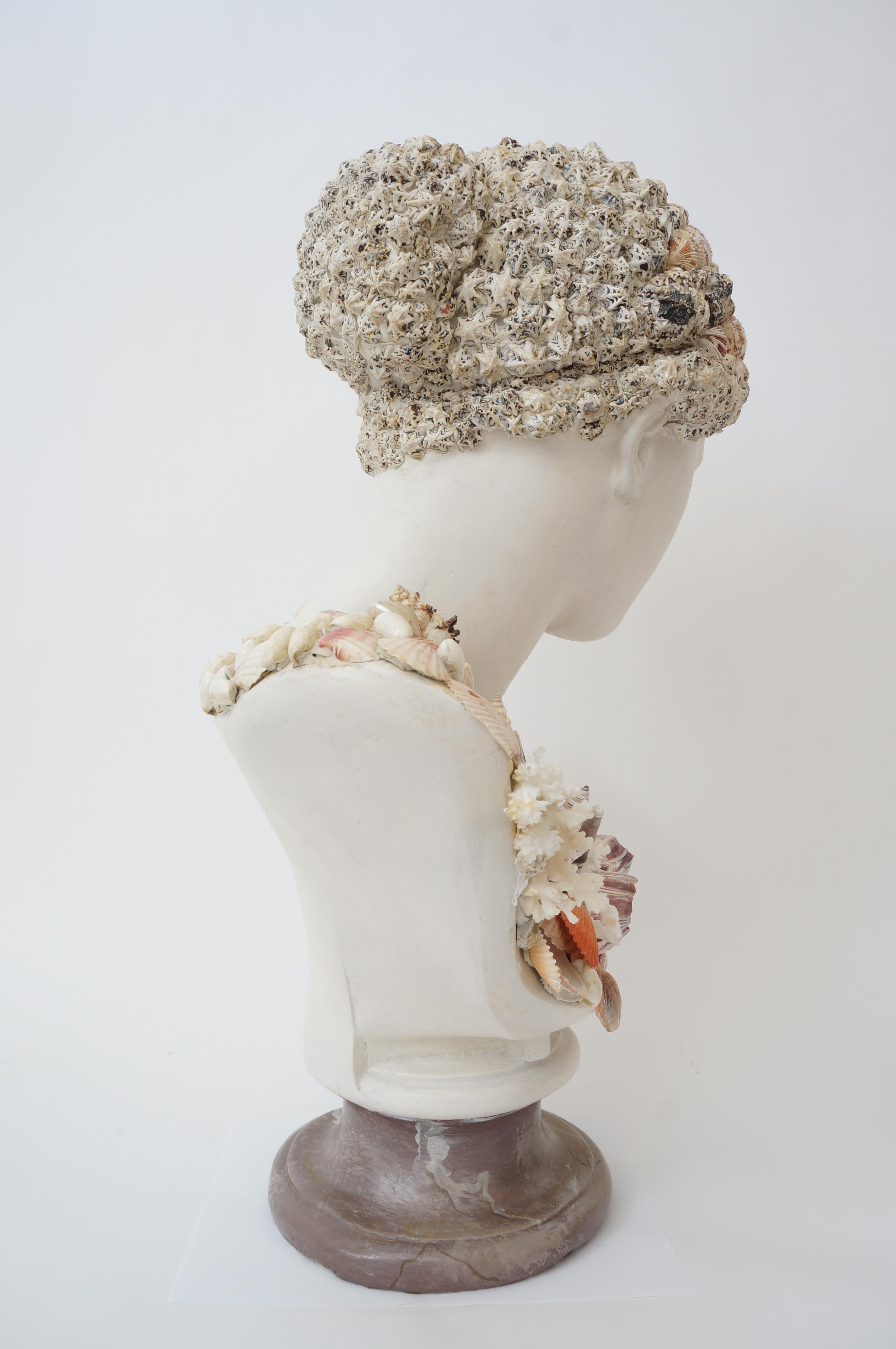 American Seashell Encrusted Neoclassical Bust For Sale