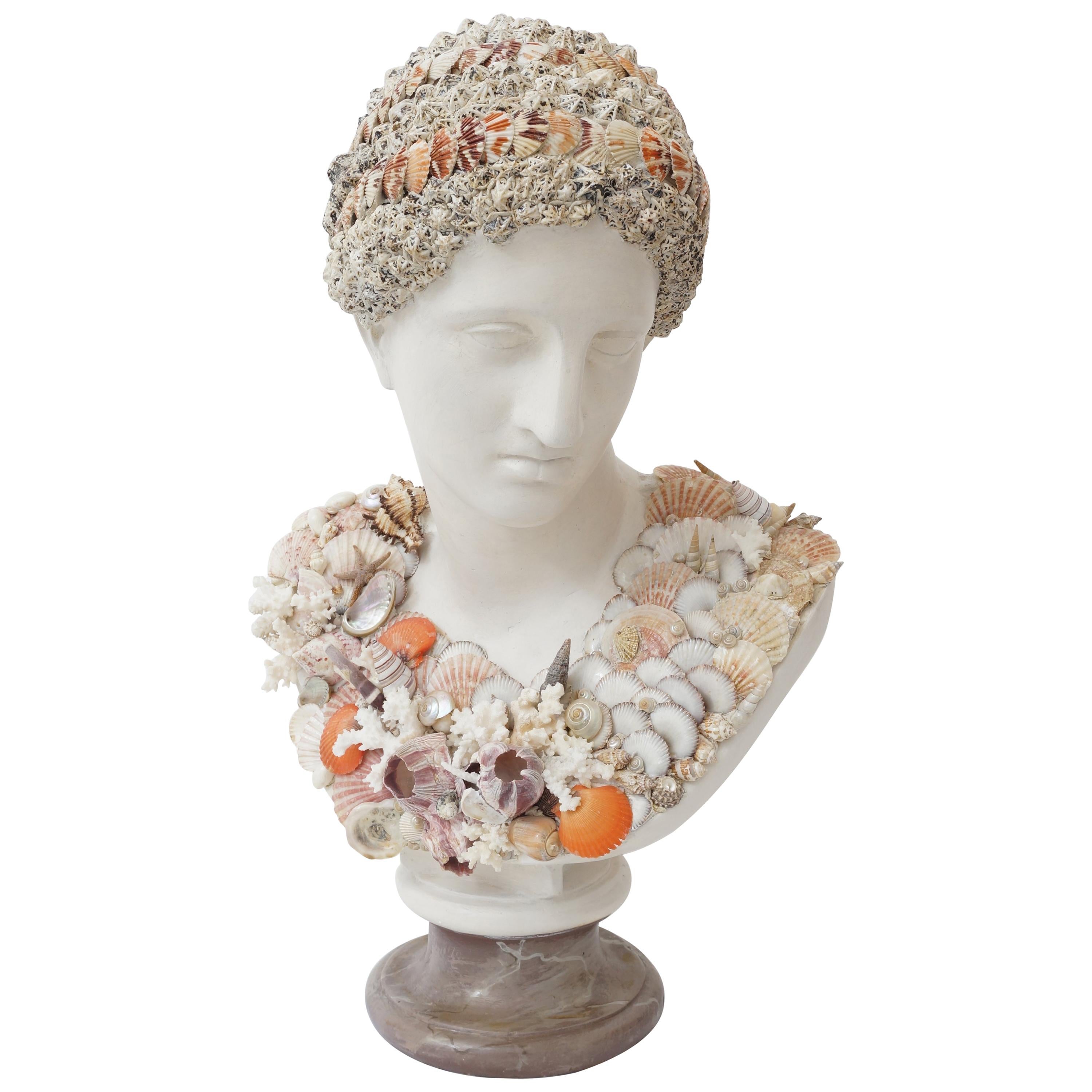 Seashell Encrusted Neoclassical Bust For Sale