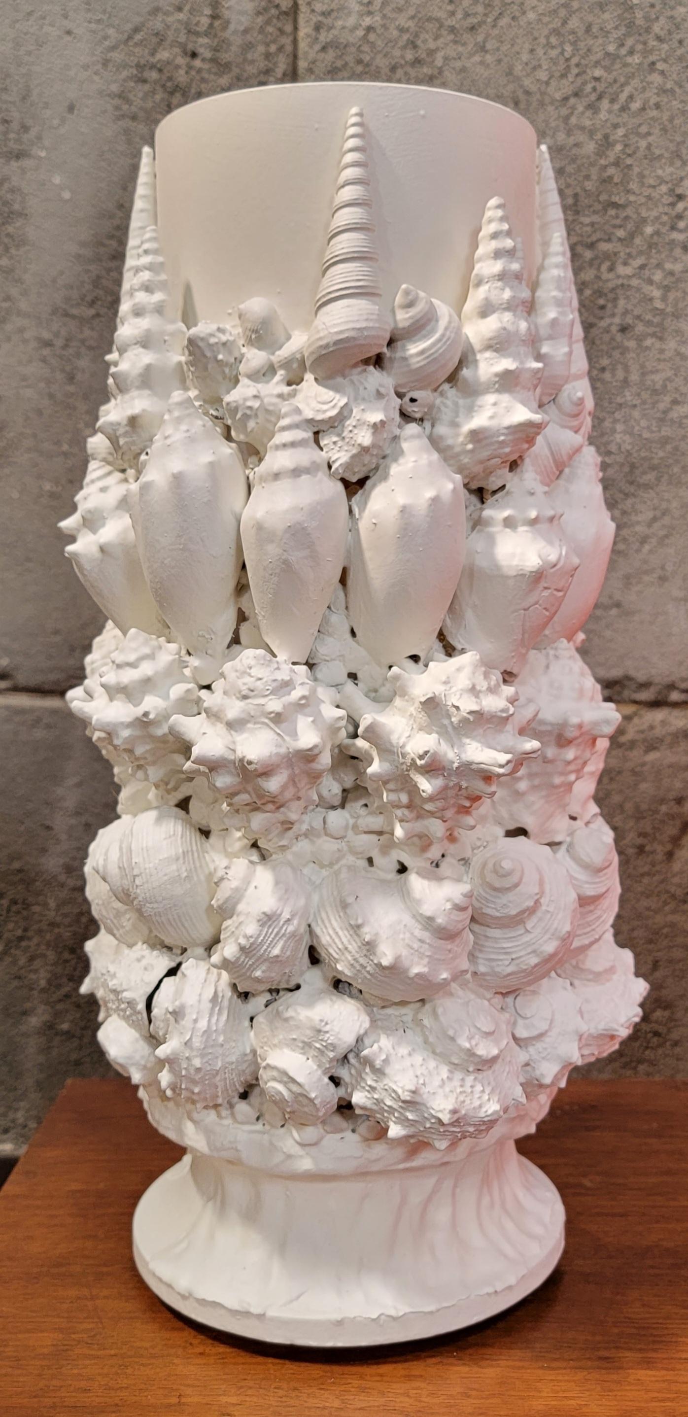 composizioni vasi con conchiglie