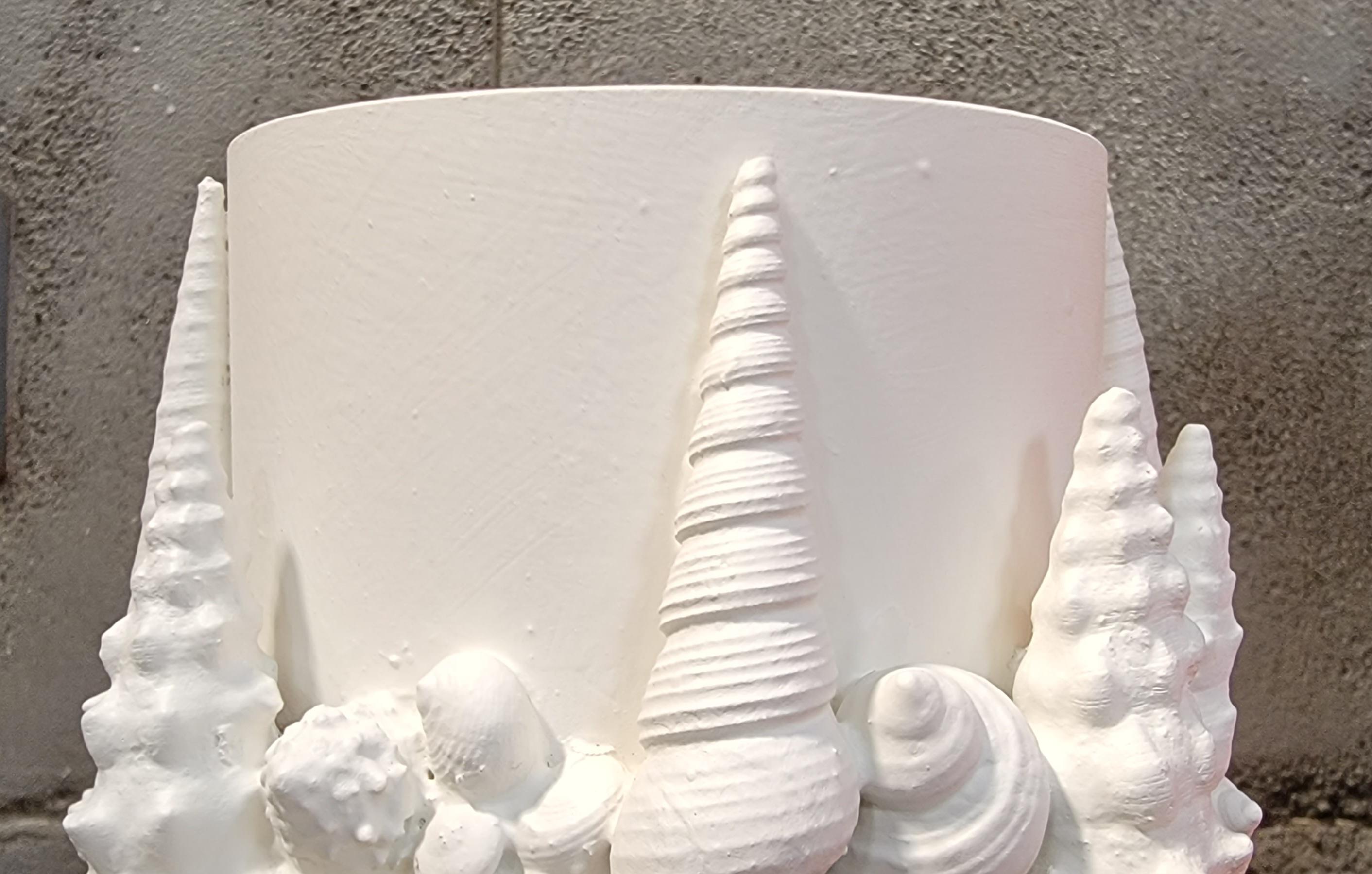 composizioni con conchiglie