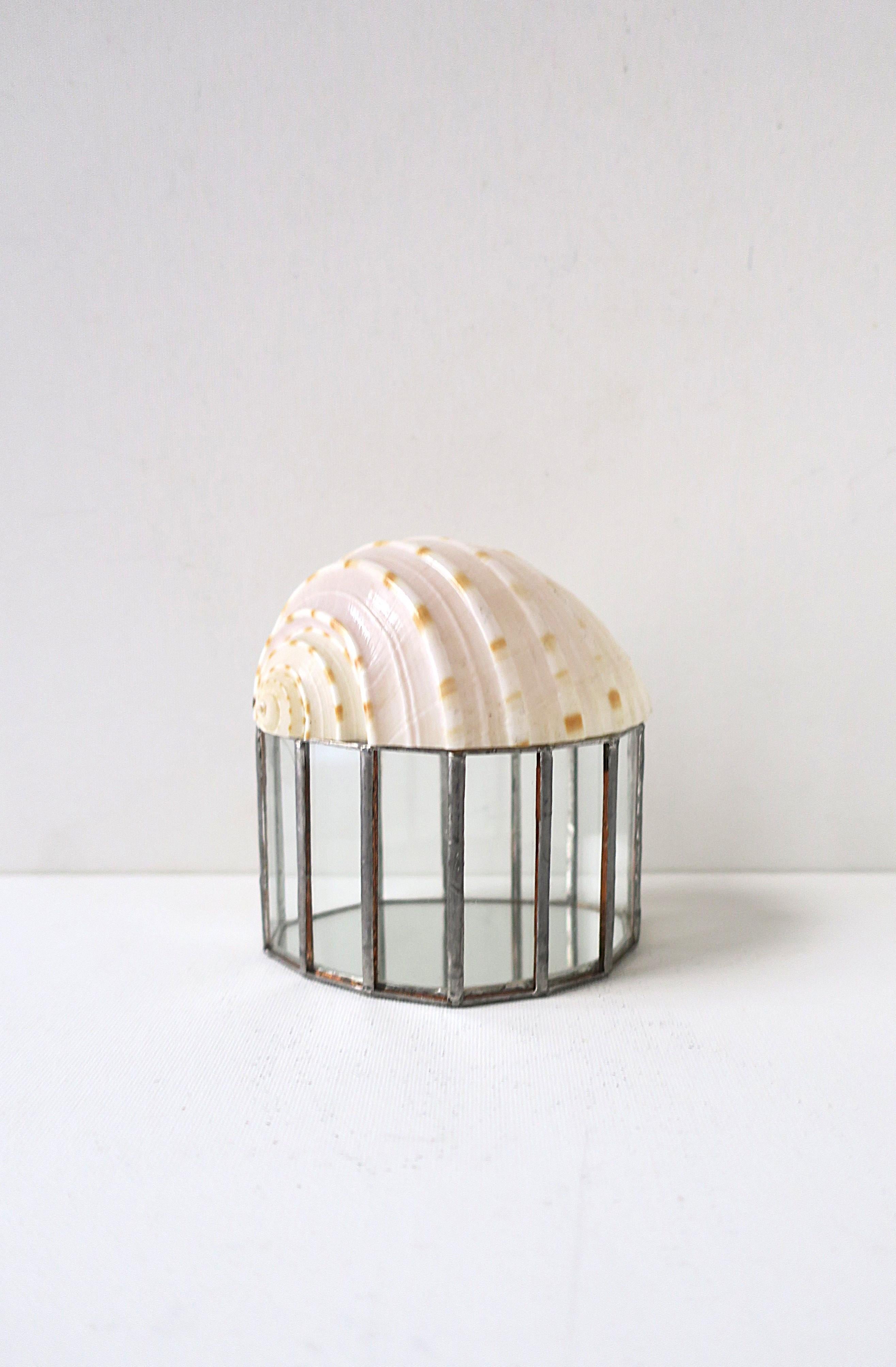 Seashell Jewelry Trinket Box im Angebot 4