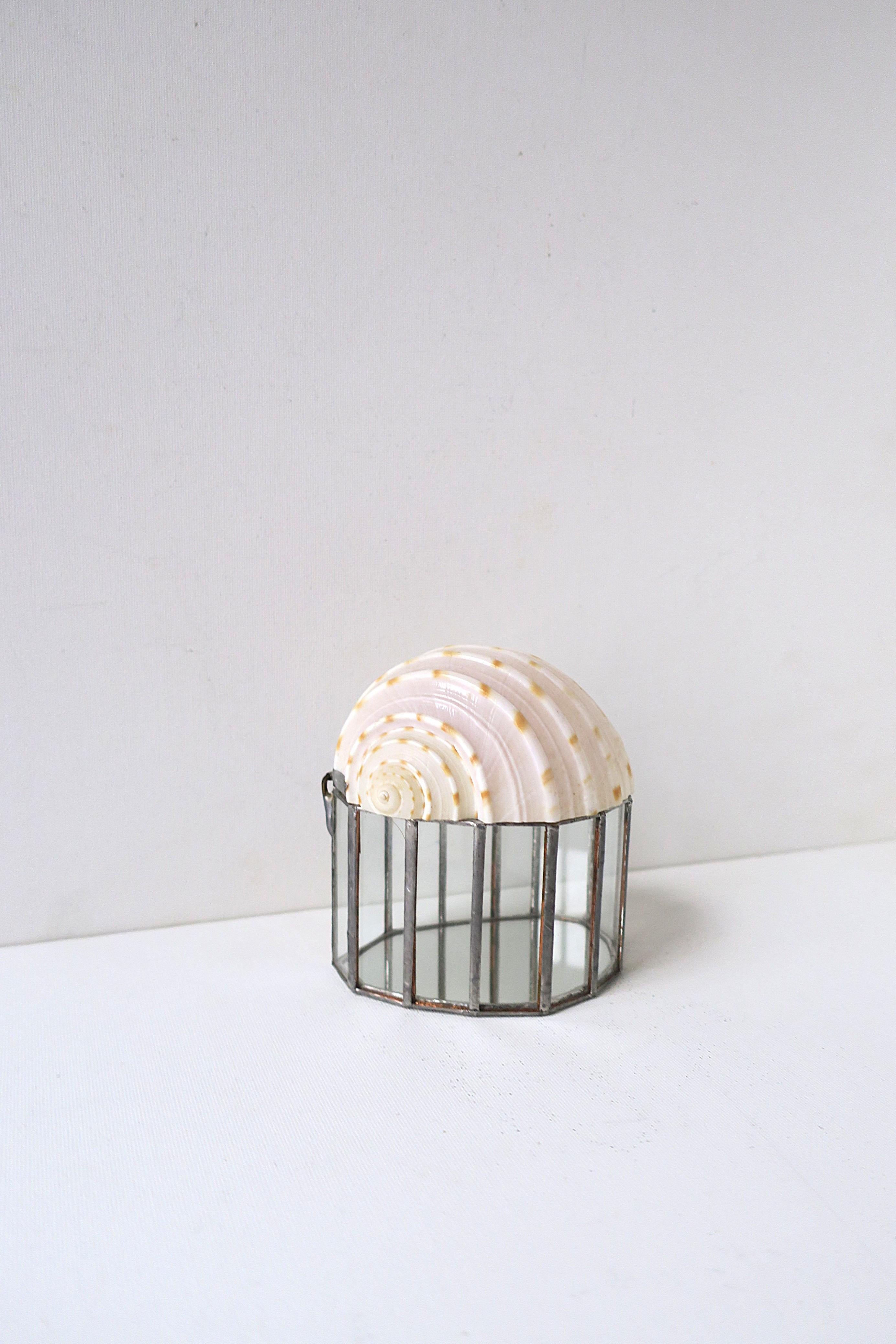 Seashell Jewelry Trinket Box im Angebot 5