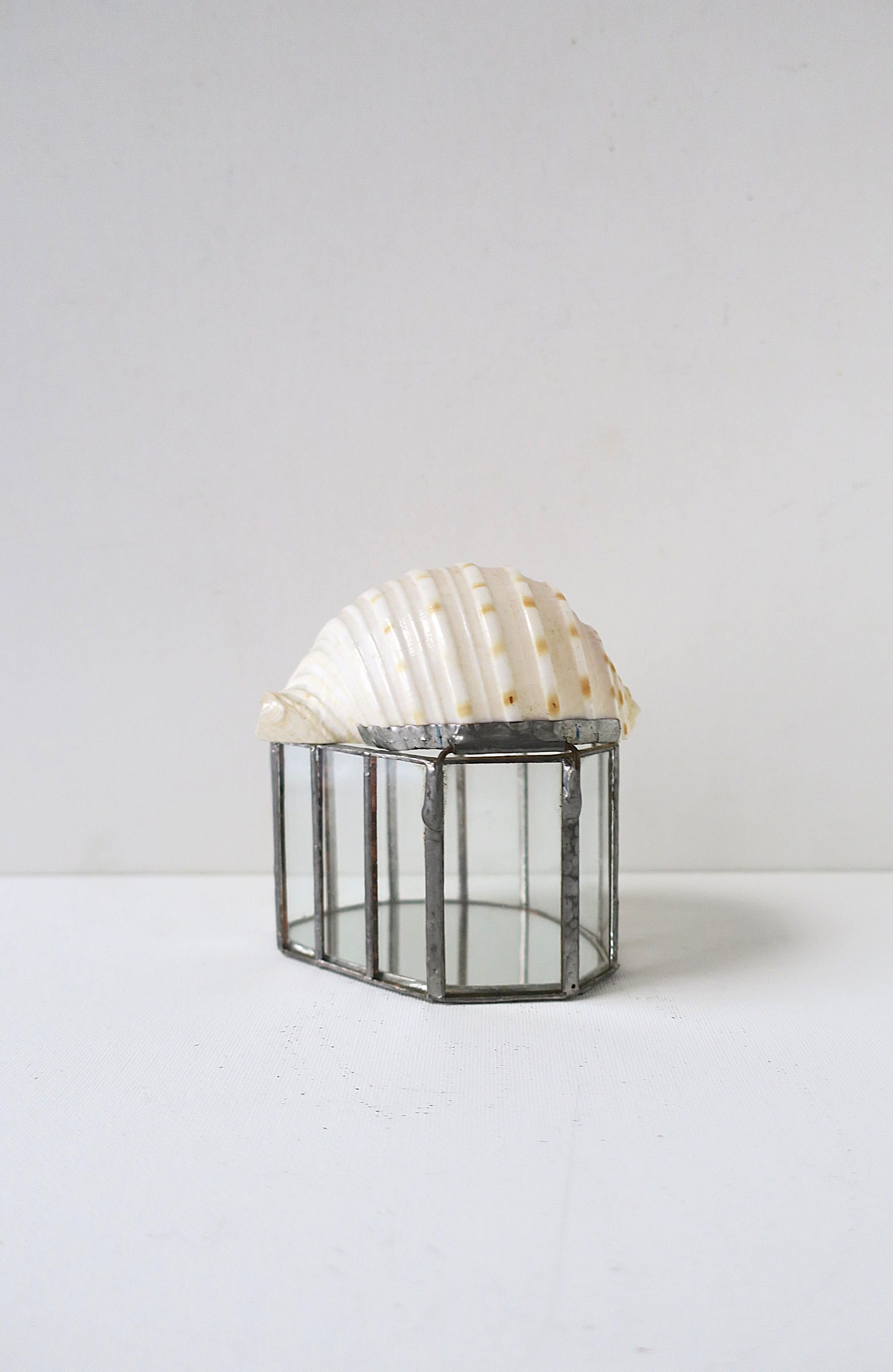 Seashell Jewelry Trinket Box im Angebot 6
