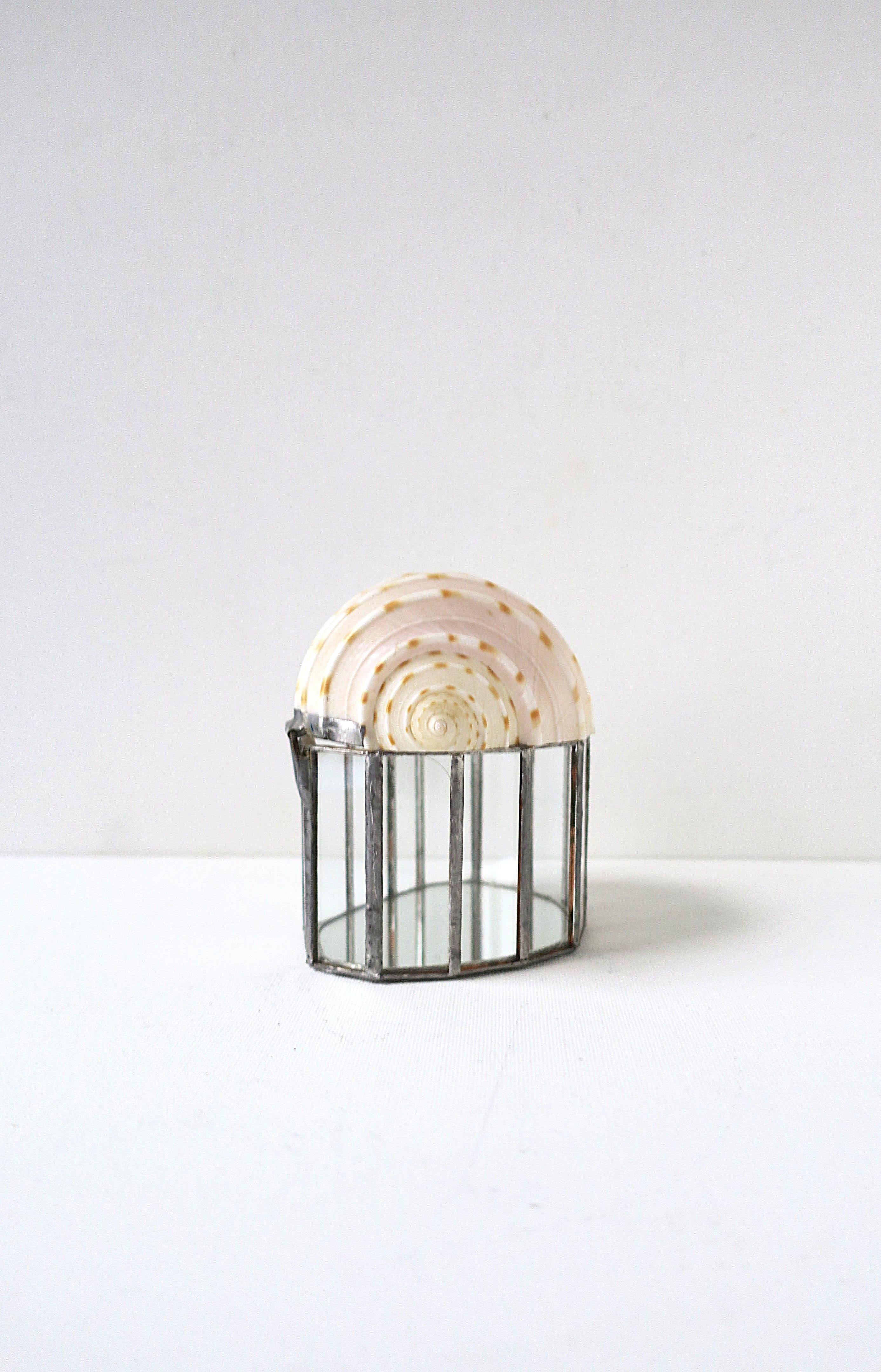 Ein echtes natürliches Muschelschmuckkästchen mit Glas- und Spiegeldesign, ca. Ende des 20. Jahrhunderts. Der Scharnierdeckel der Box ist eine echte natürliche Muschel (wunderschön halbiert) mit 