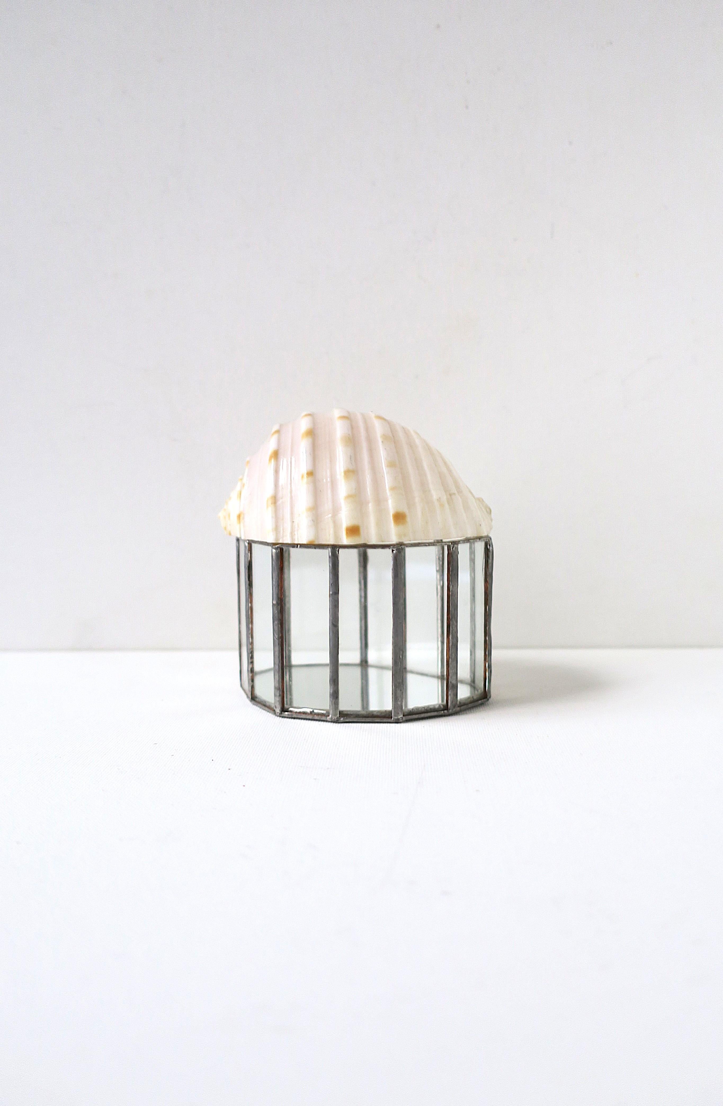 Seashell Jewelry Trinket Box (Organische Moderne) im Angebot