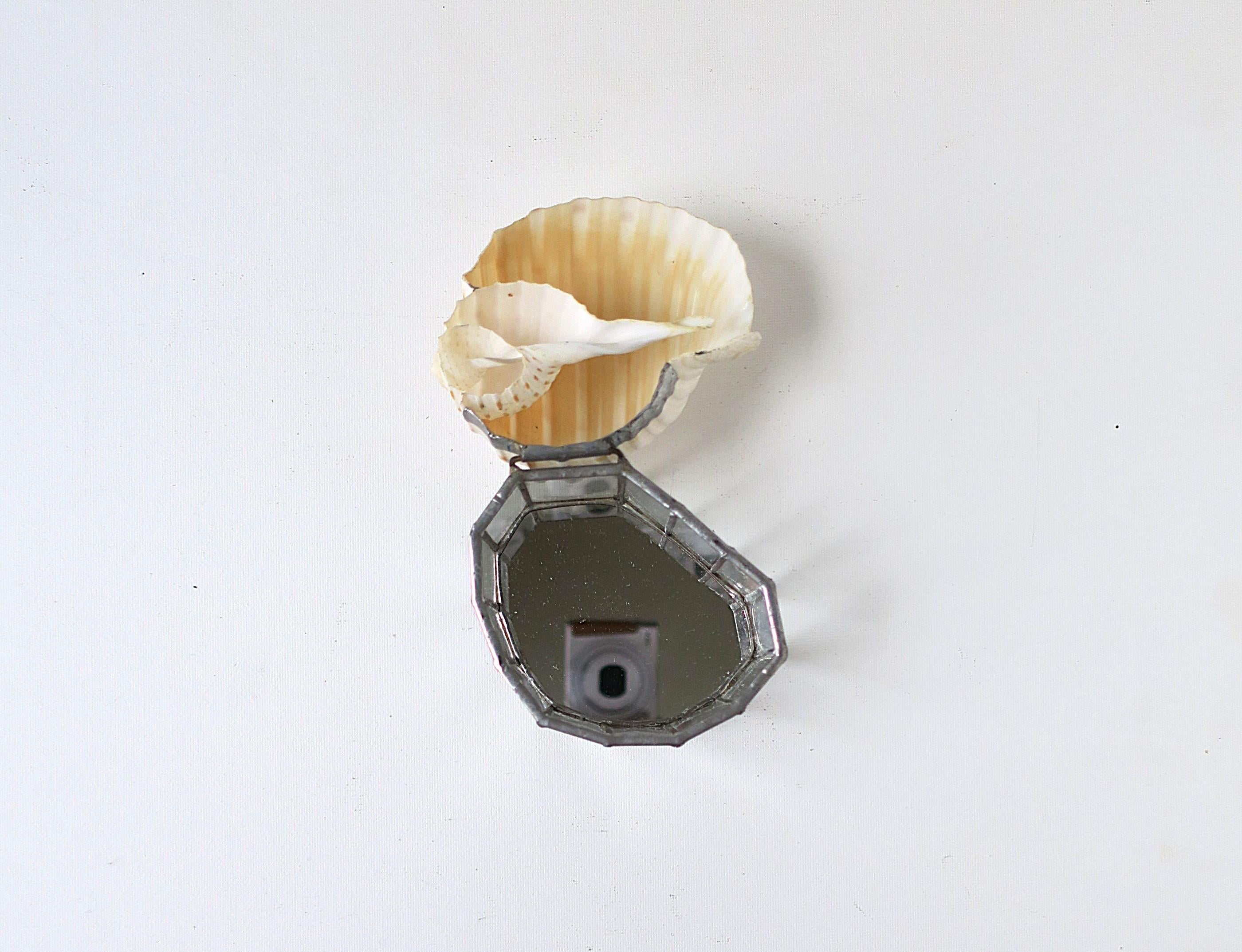 Seashell Jewelry Trinket Box im Zustand „Gut“ im Angebot in New York, NY