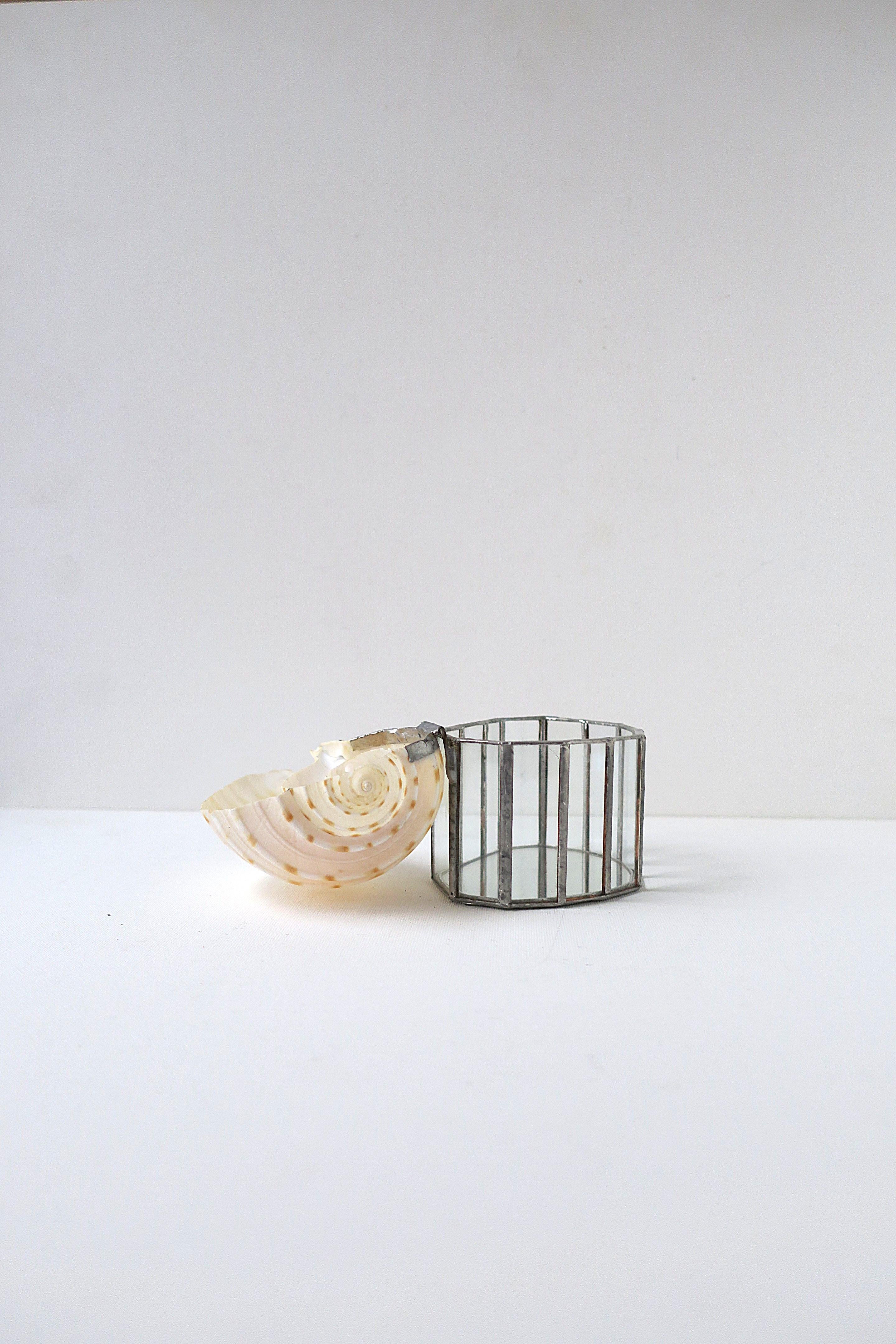 Seashell Jewelry Trinket Box (20. Jahrhundert) im Angebot