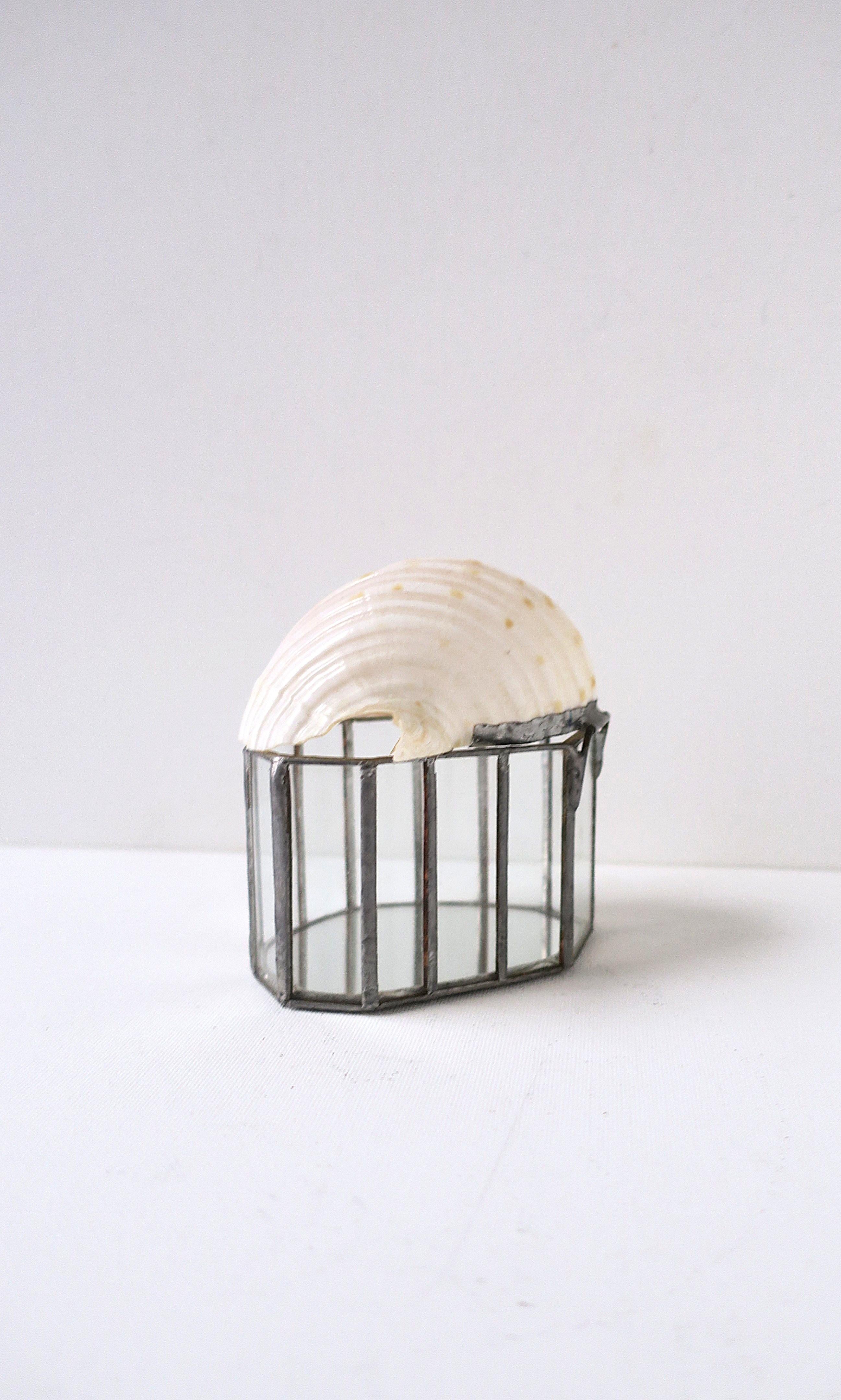Seashell Jewelry Trinket Box (Muschel) im Angebot