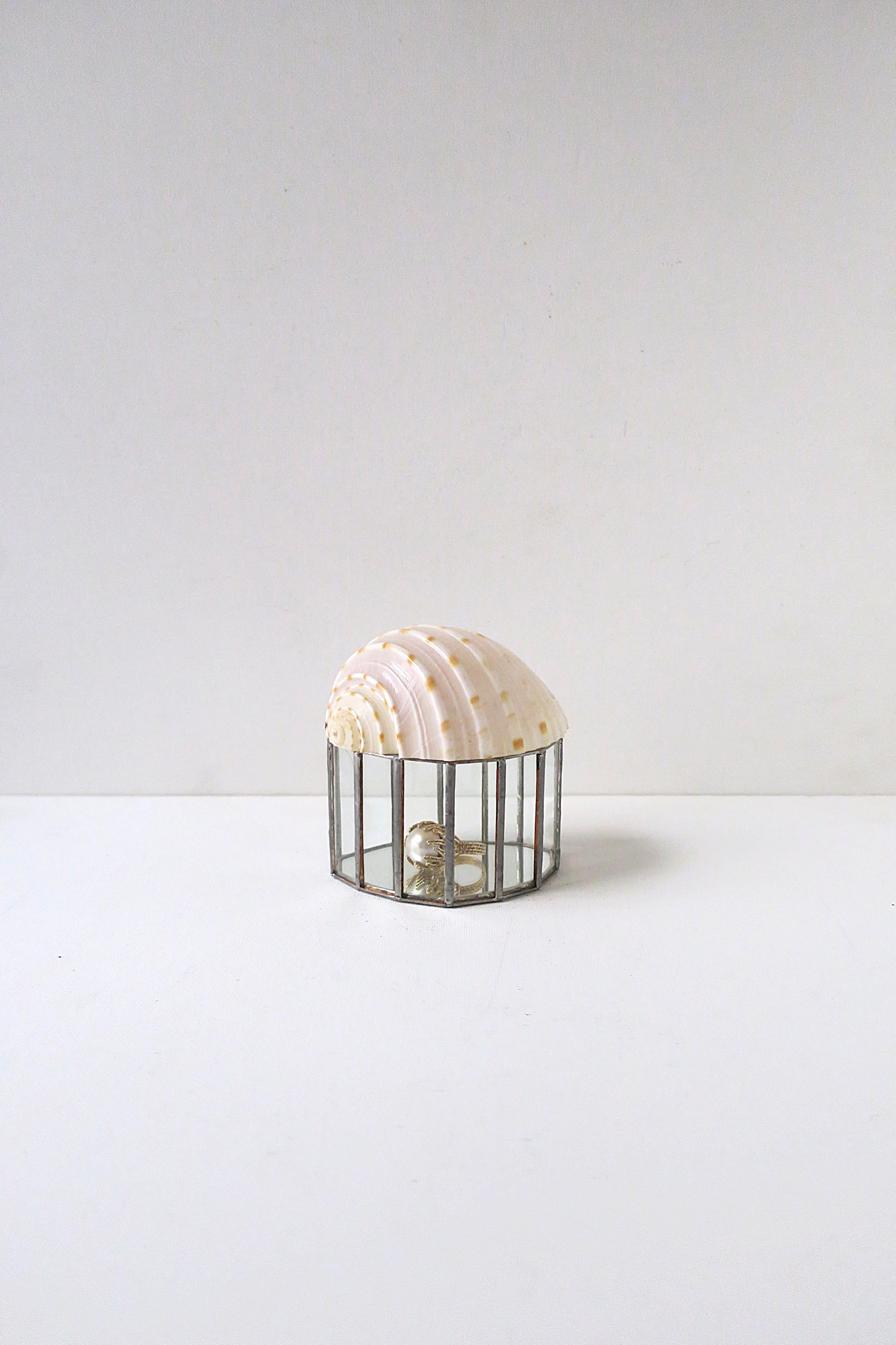 Seashell Jewelry Trinket Box im Angebot 2
