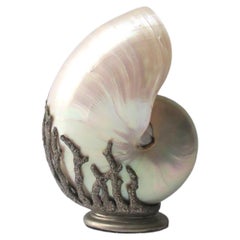 Seashell Mother of Pearl
