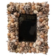 Seashell Picture Frame