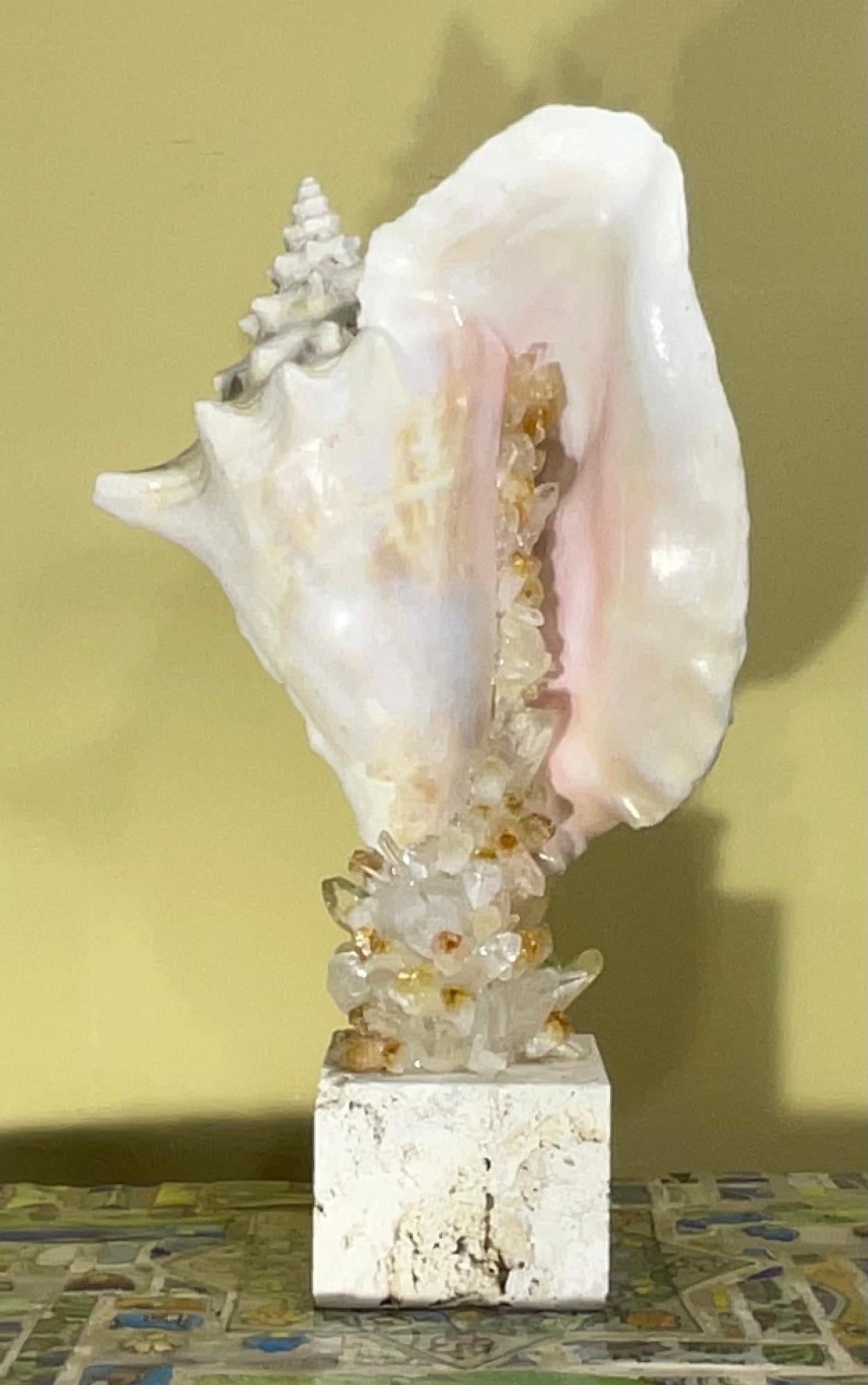 Escultura de concha marina 