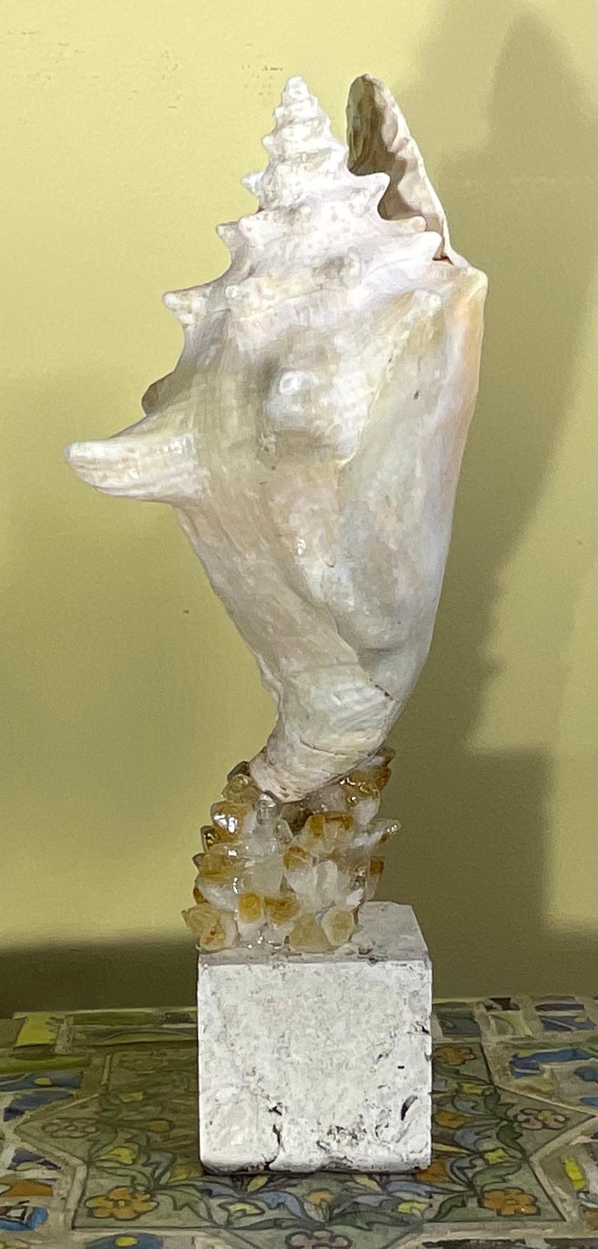 Escultura de concha marina 