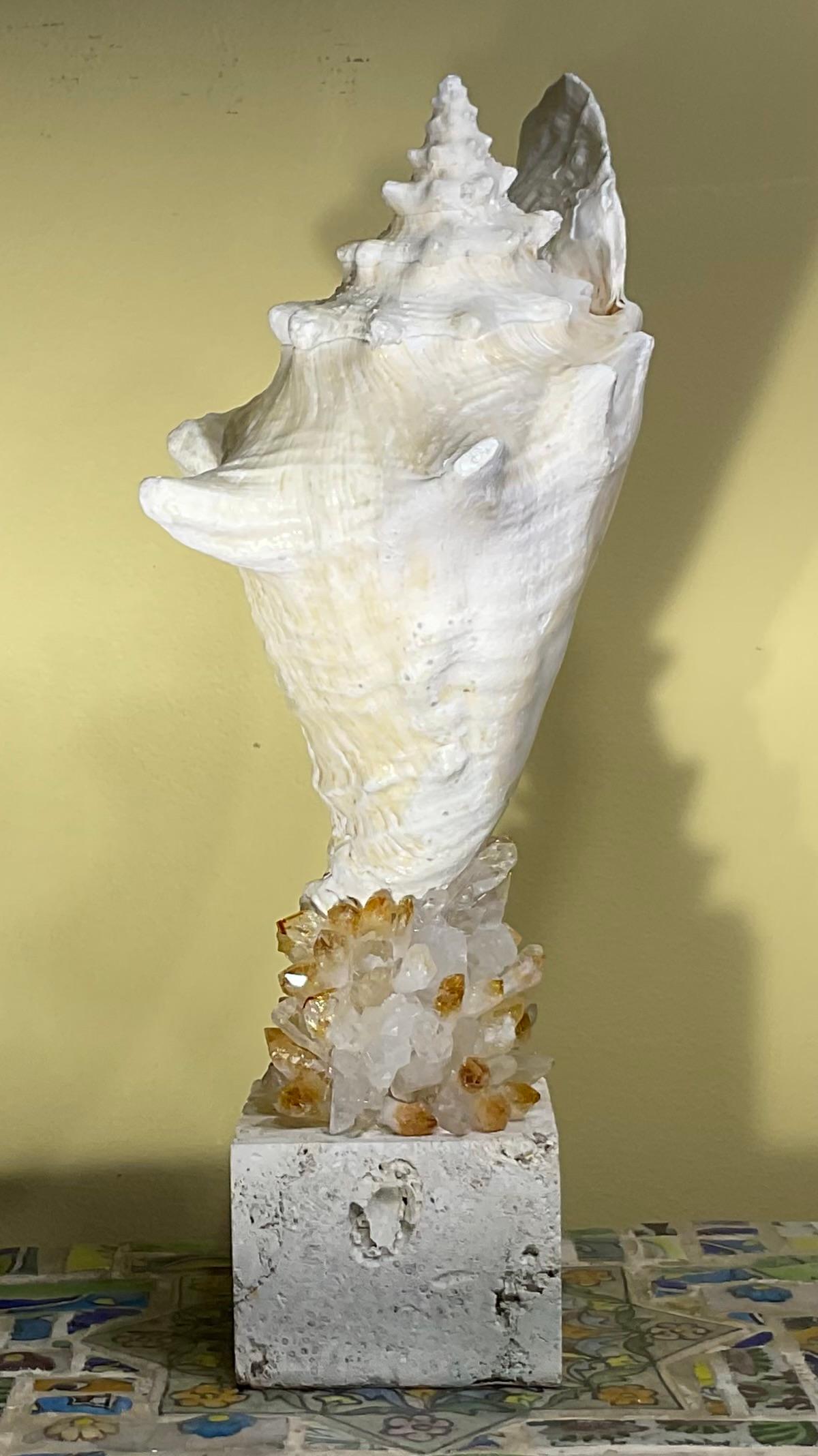 Escultura de concha marina 