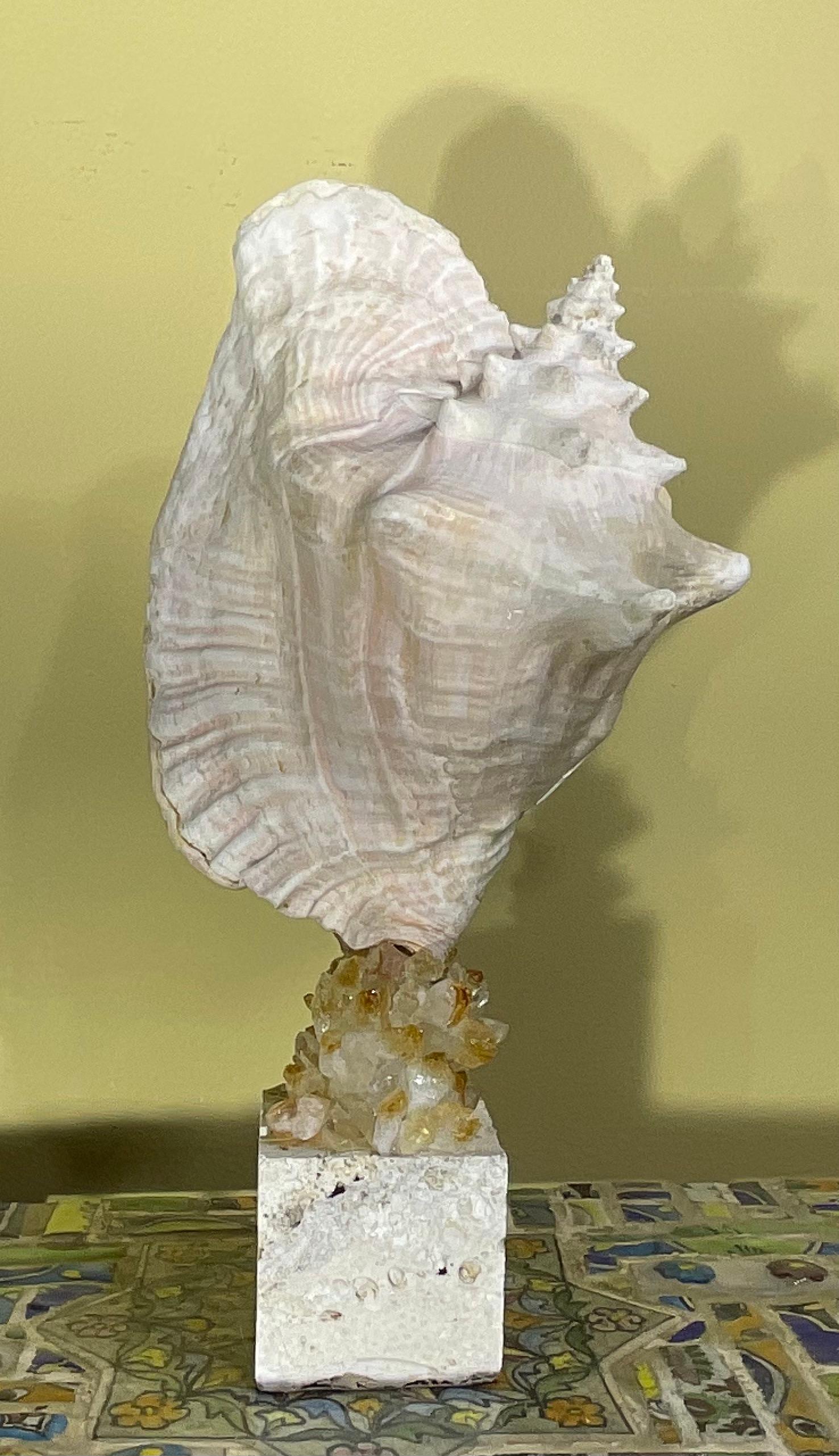 Escultura de concha marina 