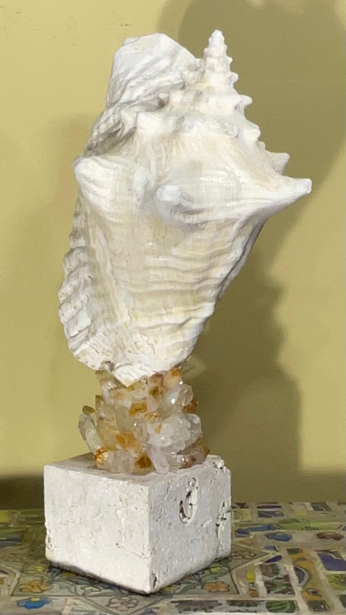Escultura de concha marina 