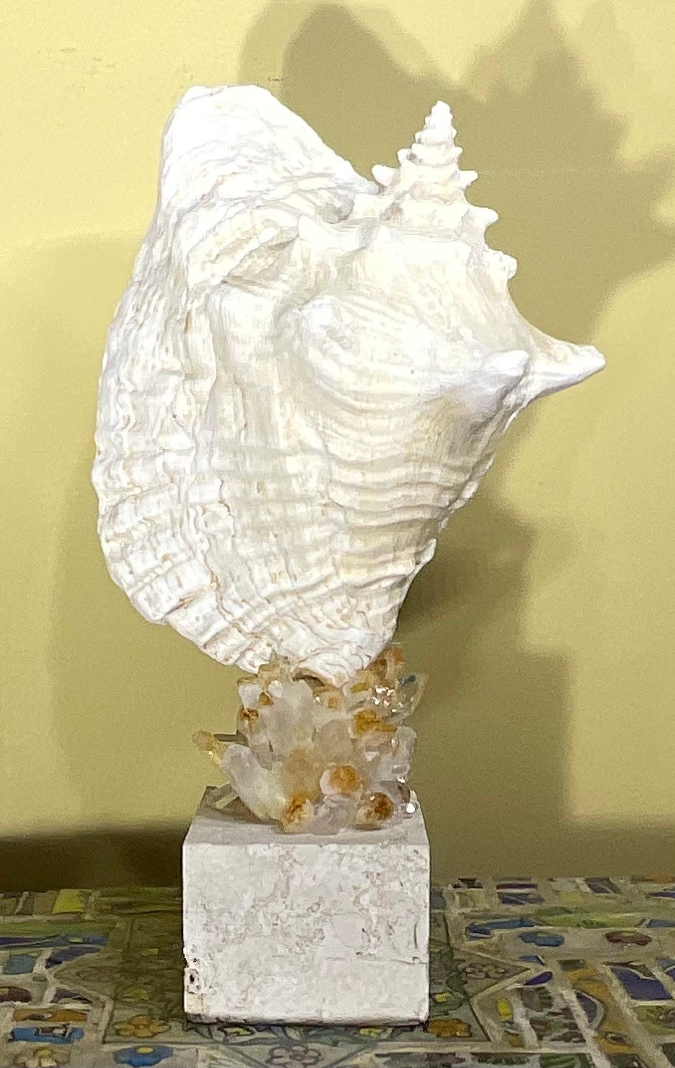 Escultura de concha marina 