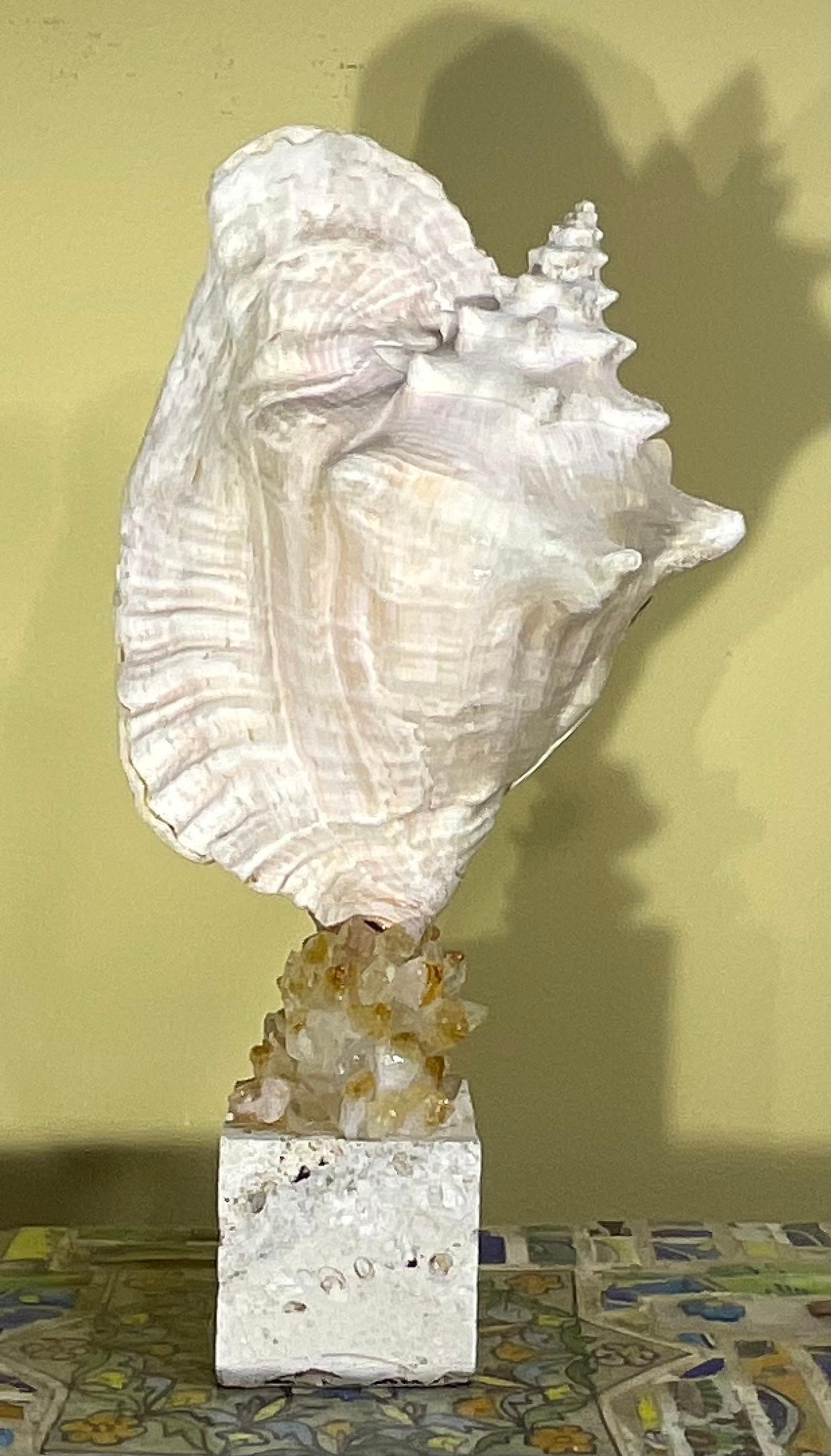 Escultura de concha marina 