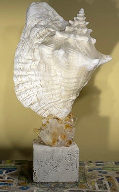 Seashell Sculpture “Seascape Symphony By Artist - Joseph Malekan