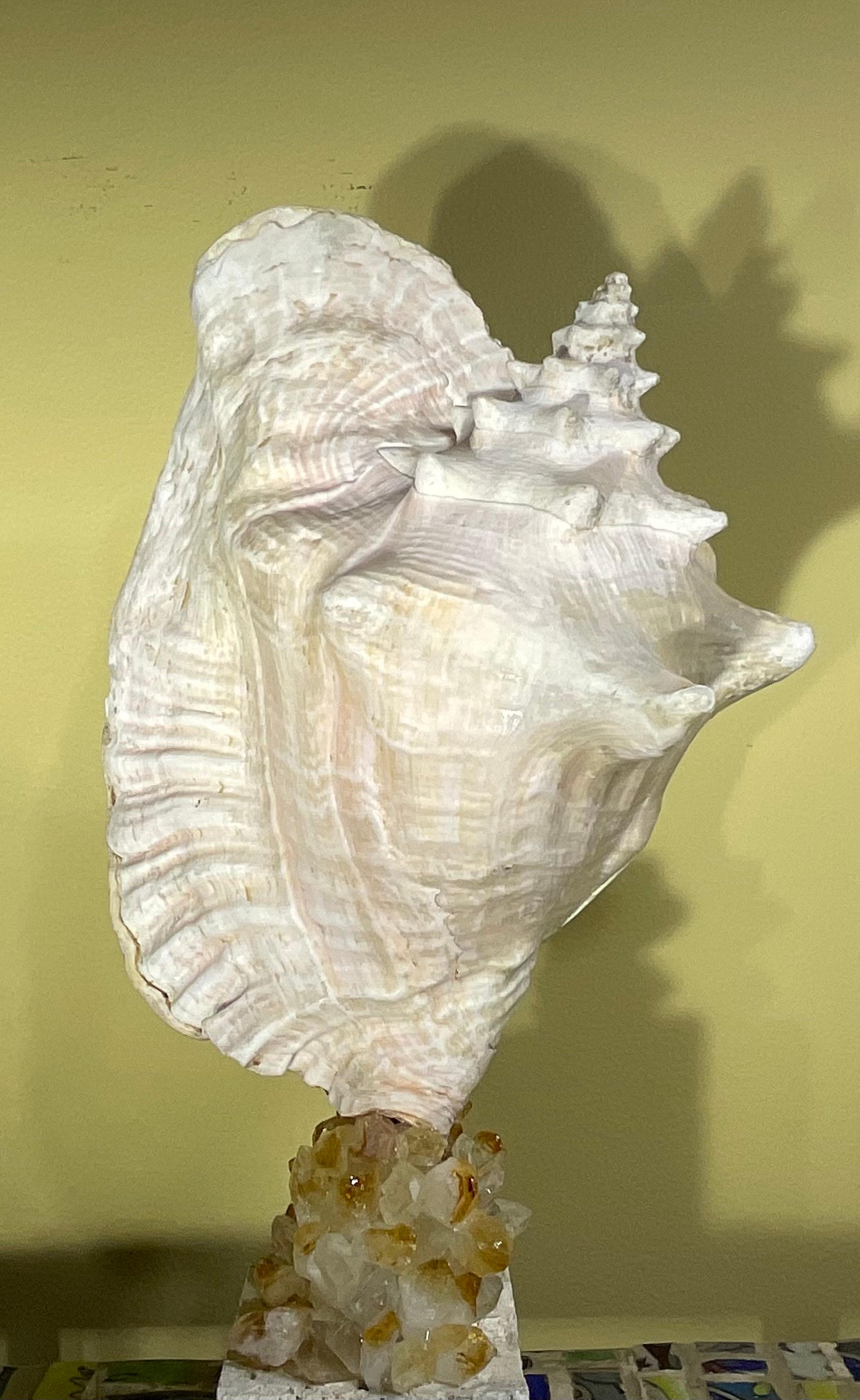 
Descubre la encantadora belleza de la naturaleza plasmada en esta exquisita escultura esta impresionante pieza título  Sinfonía marina  es una armoniosa mezcla de un majestuoso cristal de roca brillante y un vibrante citrino  todo magistralmente