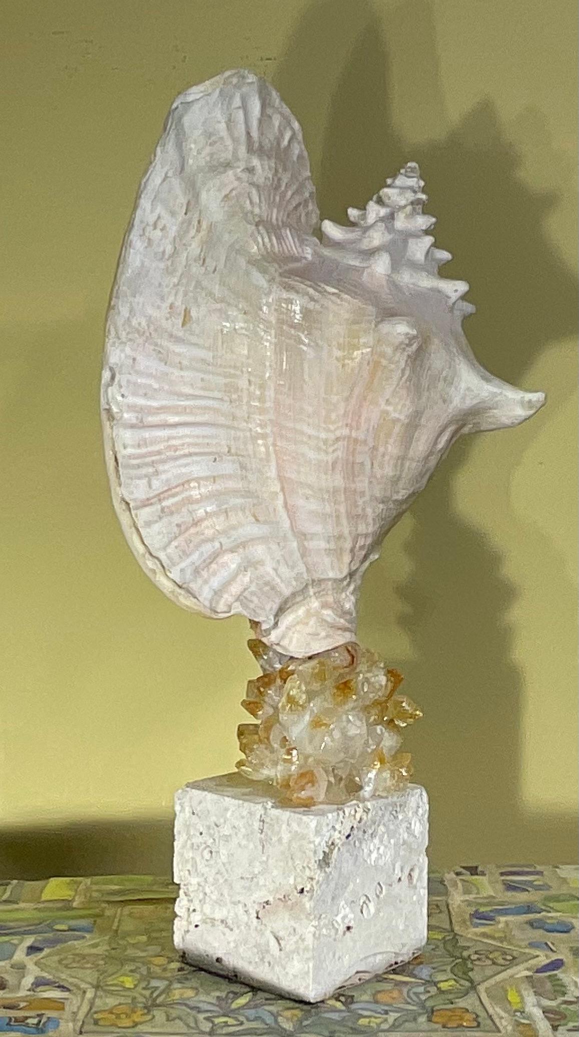 Escultura de concha marina 
