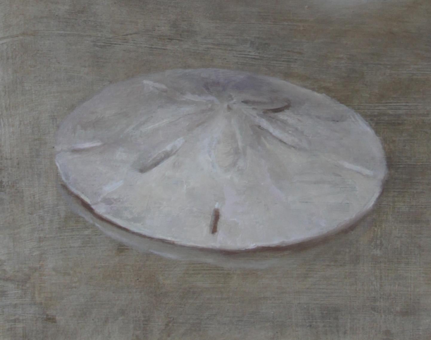 American Seashells and Sand Dollar, Oil on Panel, Still Life Painting by Helen Oh For Sale