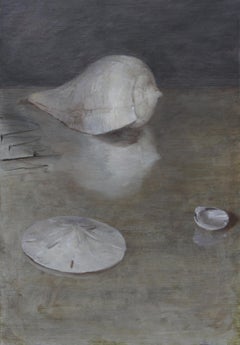Seashells and Sand Dollar, Still Life Shell Arrangement, Oil on Panel Painting