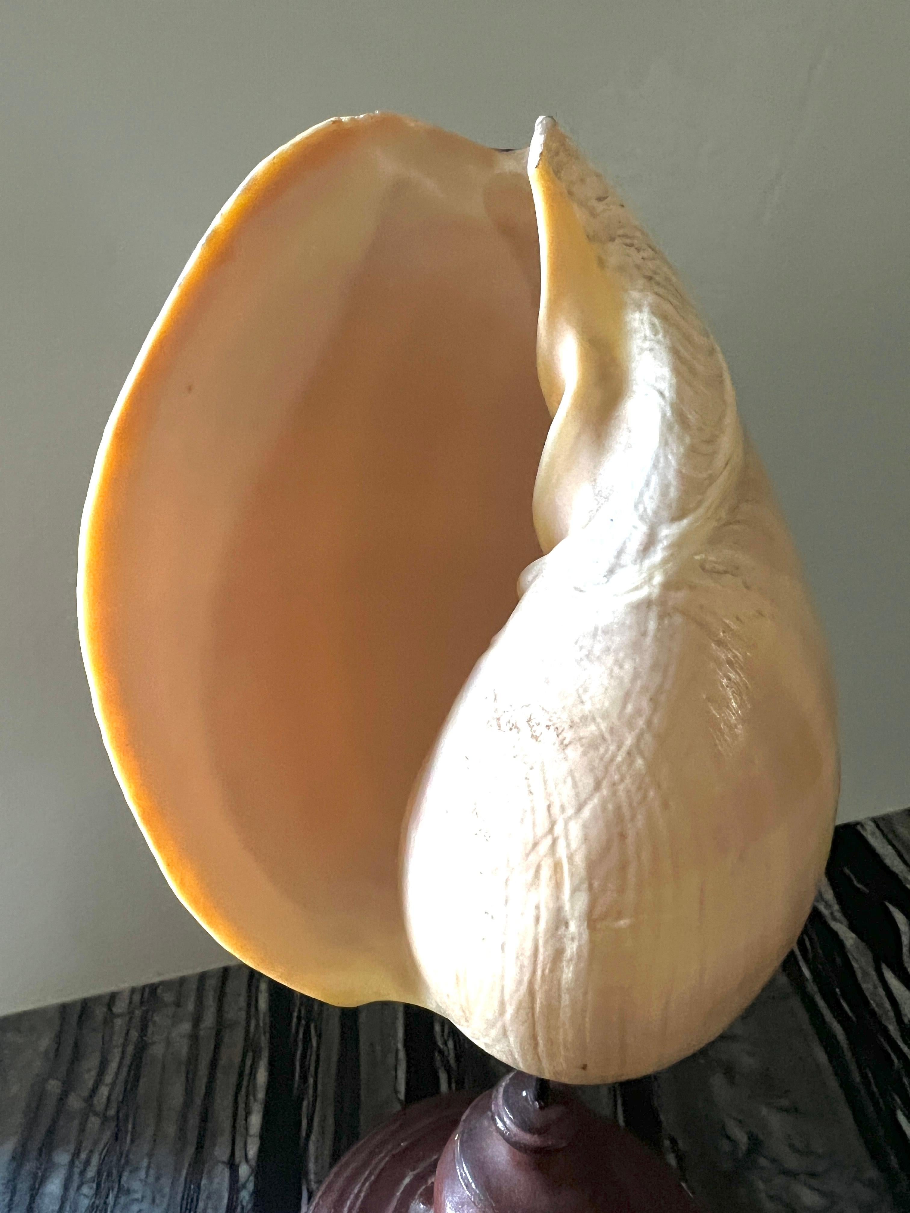 Conchiglie su supporto in metallo patinato In condizioni buone in vendita a Los Angeles, CA