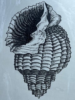 'Seashells & Portrait Busts' Original Lithgraphic Zinc Plate by Piero Fornasetti