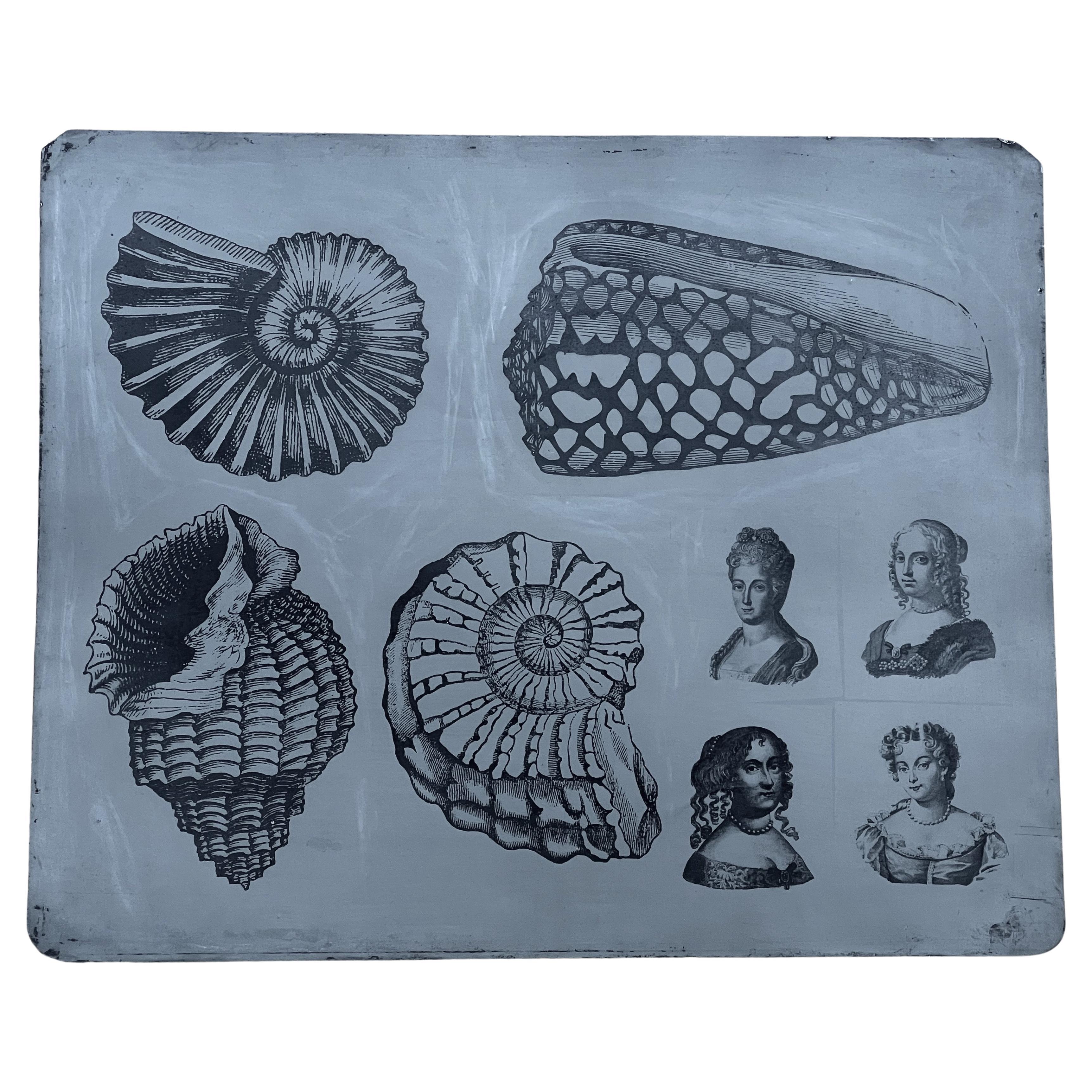 'Seashells & Portrait Busts' Original Lithgraphic Zinc Plate by Piero Fornasetti For Sale