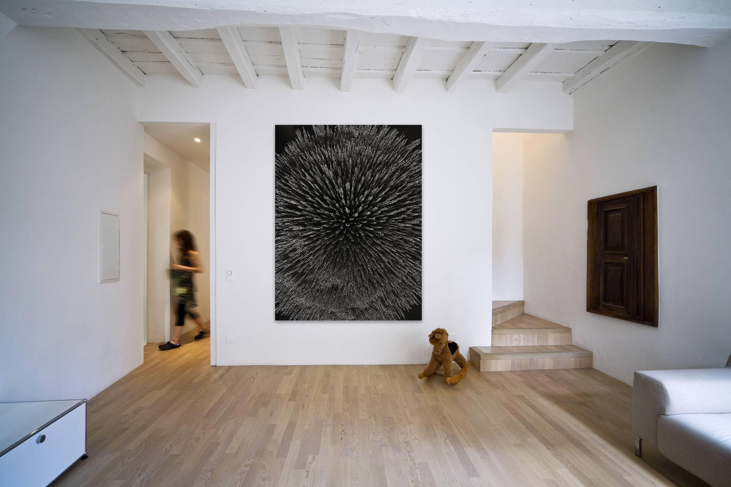 Radiation magnétique 99 (grande) ( Photographie abstraite) - Noir Abstract Photograph par Seb Janiak