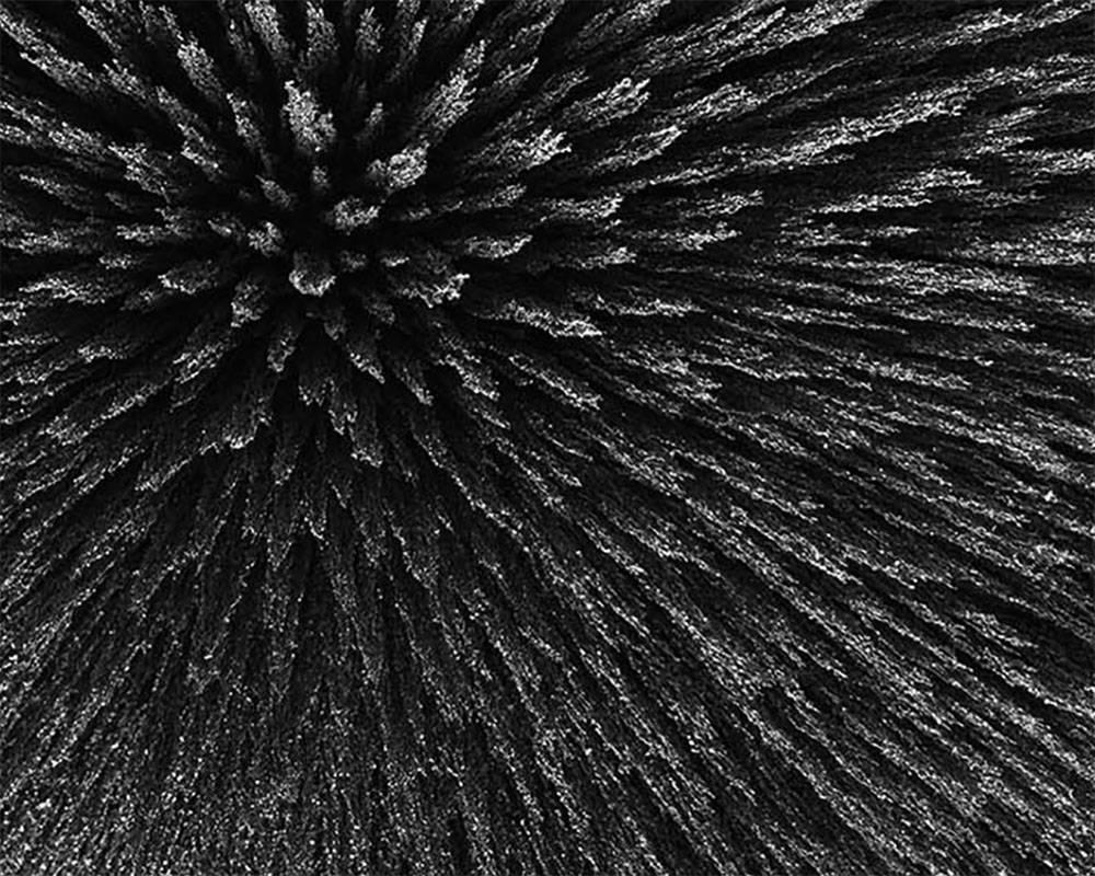 Magnetic radiation 99 (Large) (Abstract photography) - Black Black and White Photograph by Seb Janiak