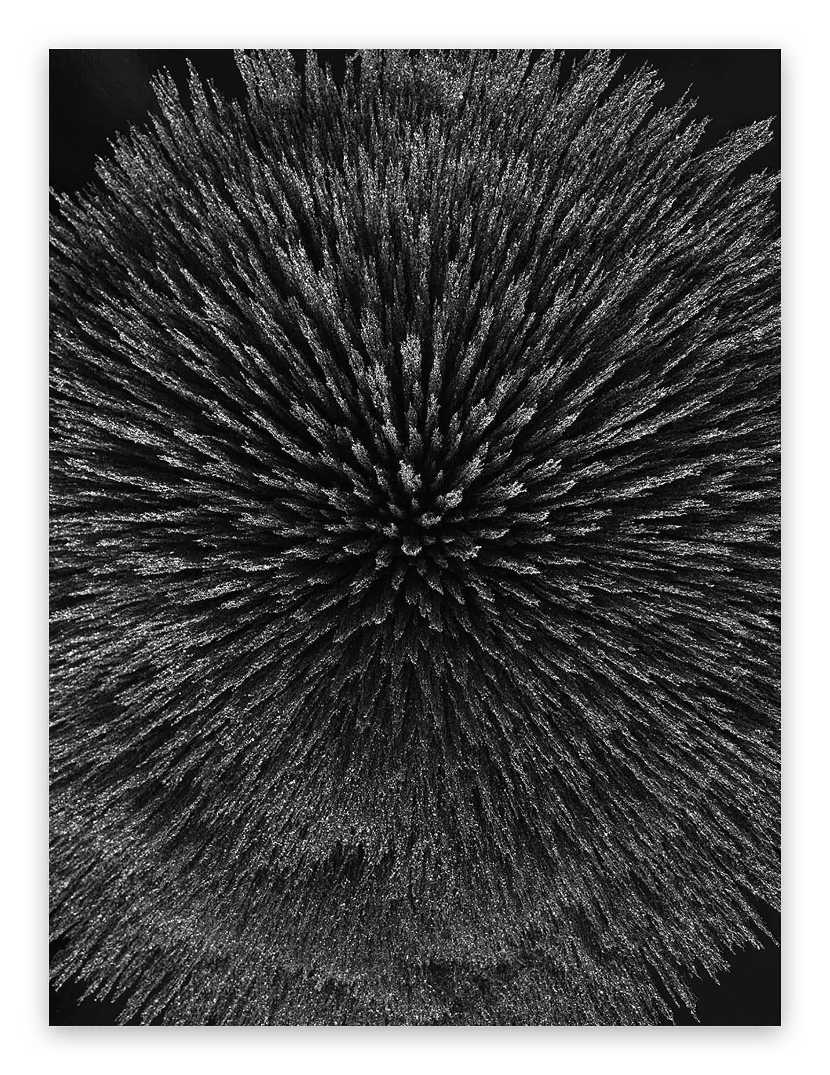 Seb Janiak Black and White Photograph - Magnetic radiation 99 (Large) (Abstract photography)