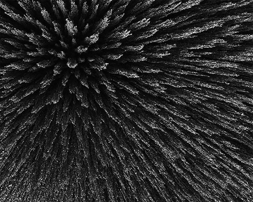 99 (Medium) (Abstrakte Fotografie) (Schwarz), Black and White Photograph, von Seb Janiak
