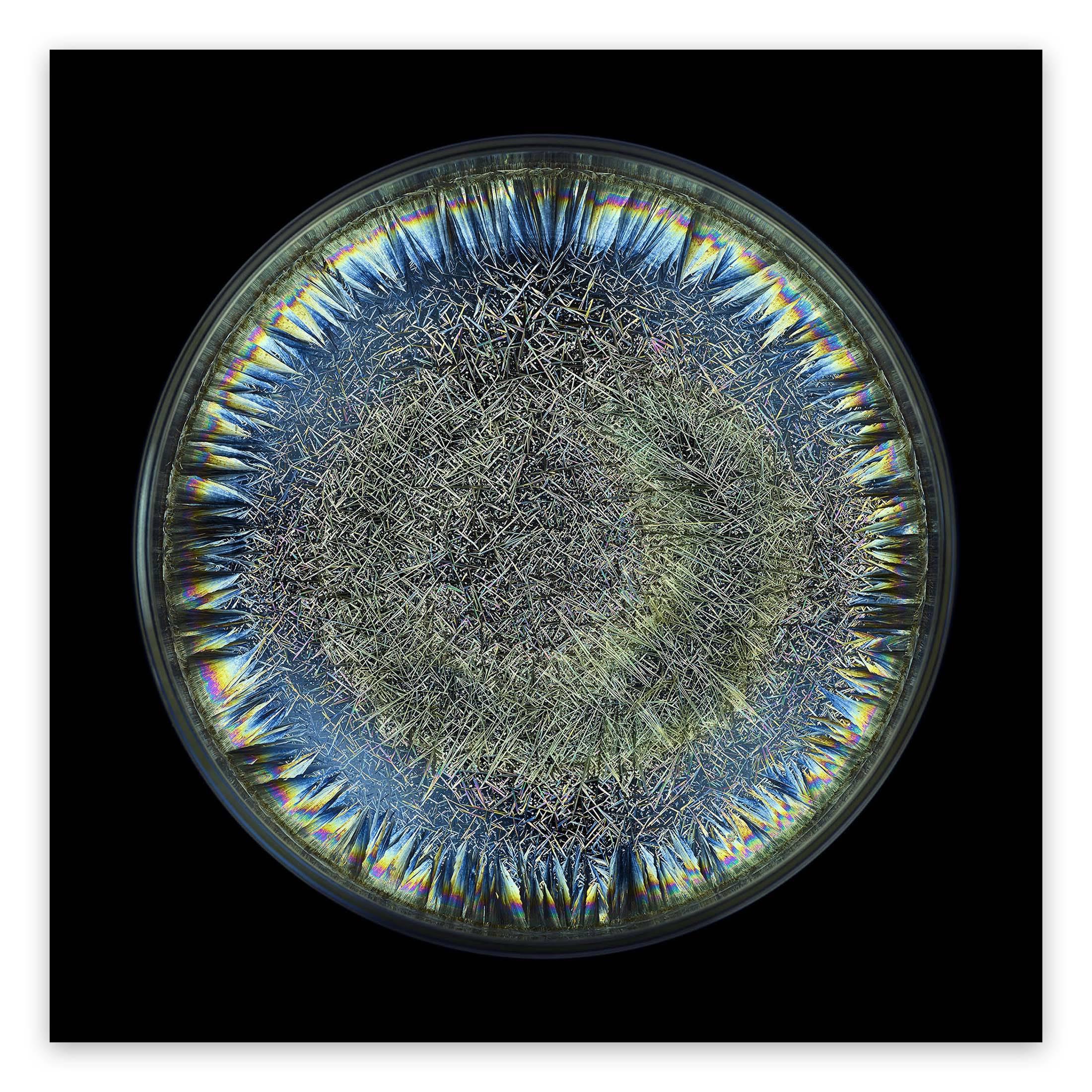 Morphogenetic field - AB negative blood (Abstract Photography)

Chromogenic print. Edition 1/5.

In his Morphogenetic fields series, Janiak examines the visible manifestation of the essence of various substances. Every entity in the universe