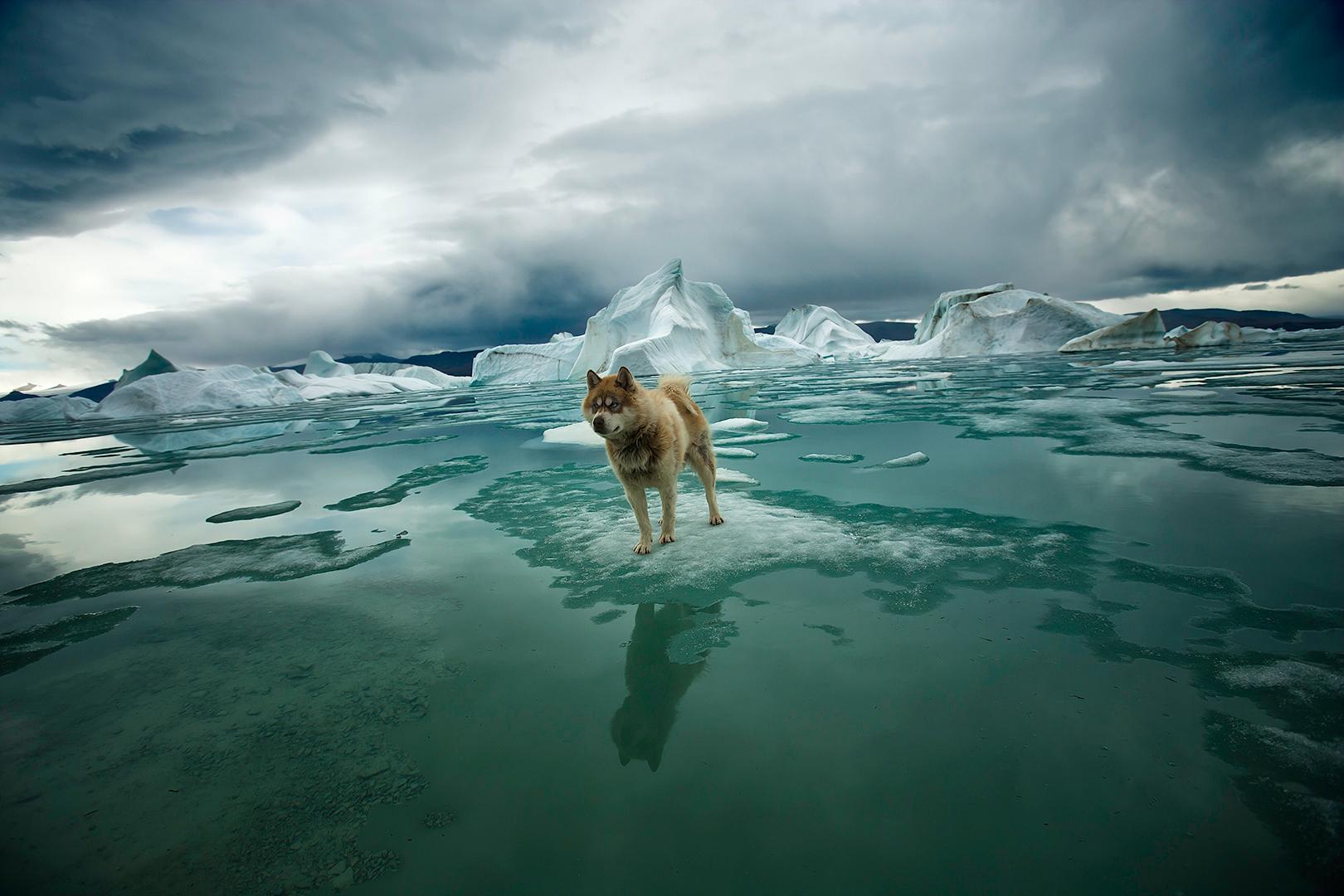 Sebastian Copeland Landscape Photograph - Zephyr - Arctic