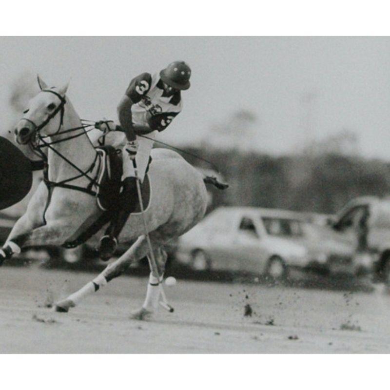 Polo Match