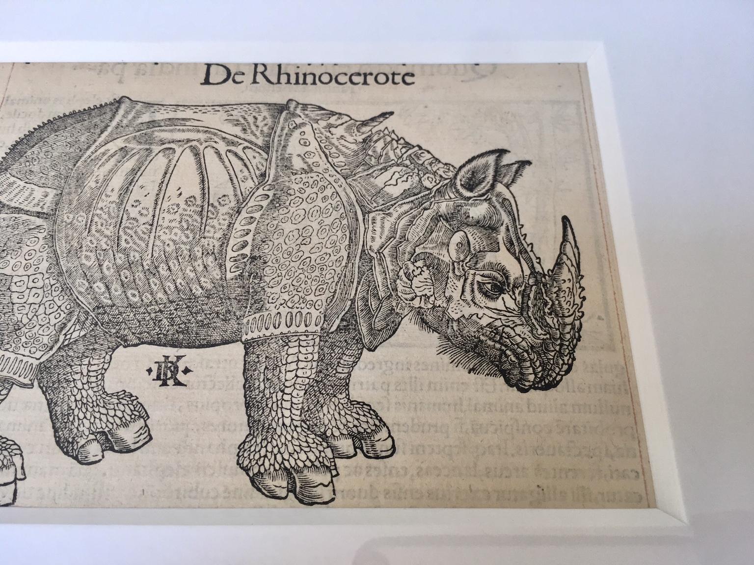 German Sebastian Münster 16th Century Woodcut  Print Animal Exotics