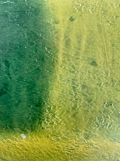 Green Barrier 16 X 16 Oil on Canvas