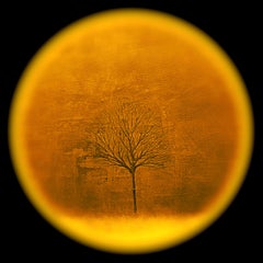Season Tree I-Yellow