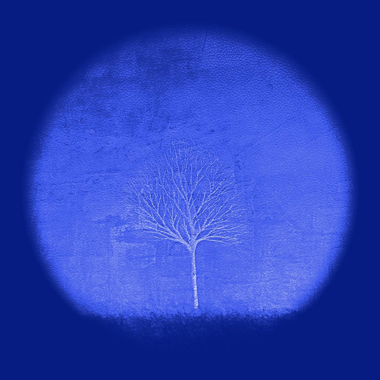 Season Tree II Blue - Print by Sebastian Spreng