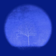 Season Tree II Blue