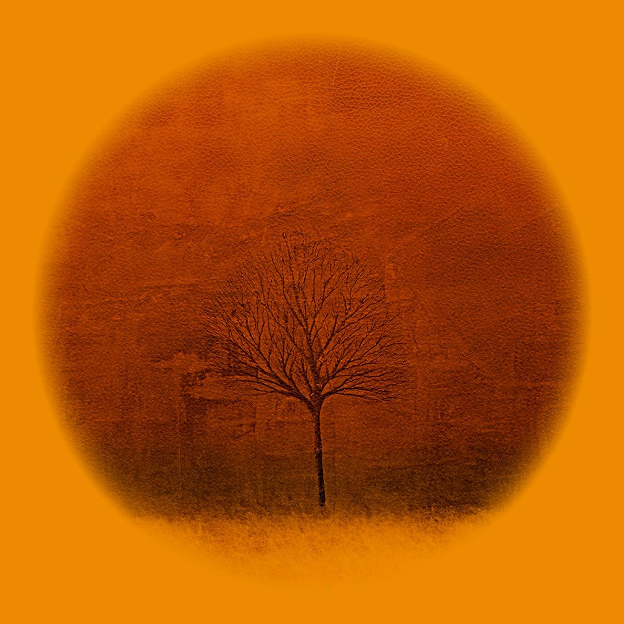 Season Tree IV Orange - Print by Sebastian Spreng