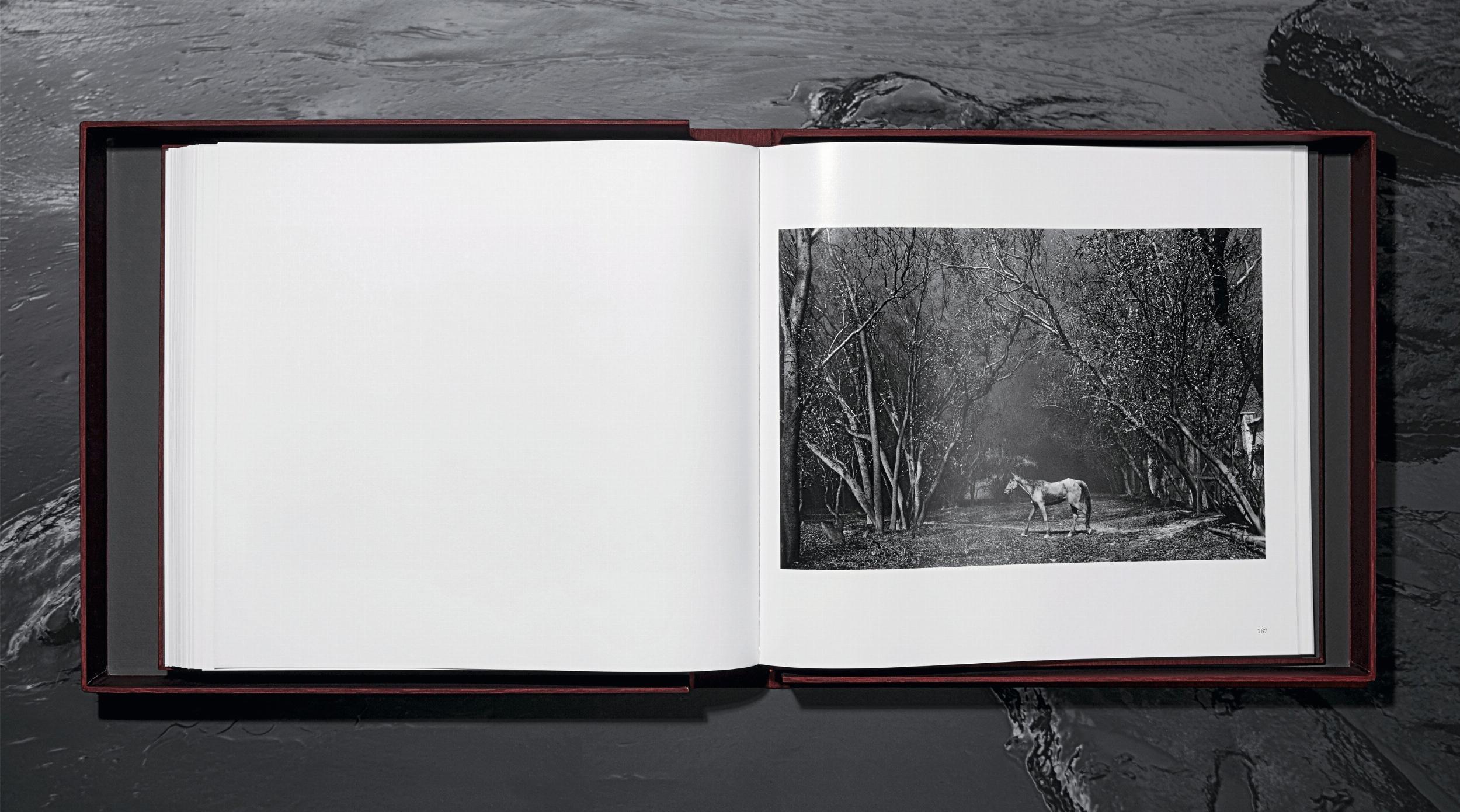 Sebastião Salgado. Koweït. Un désert en feu. Édition limitée, livre signé en vente 9